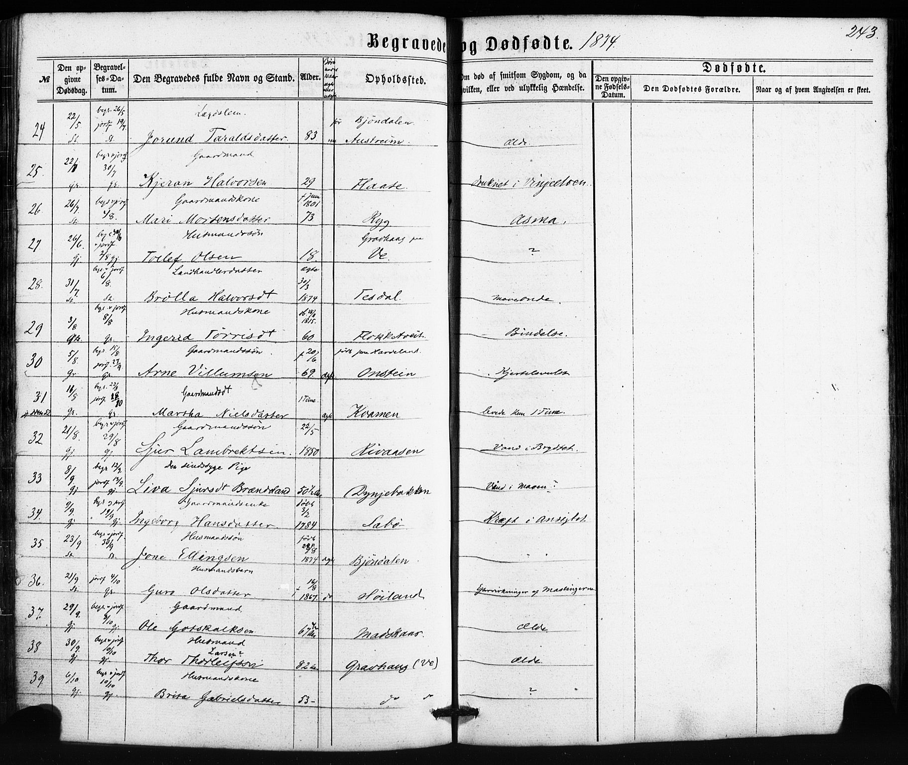 Etne sokneprestembete, AV/SAB-A-75001/H/Haa: Parish register (official) no. A 9, 1862-1878, p. 243