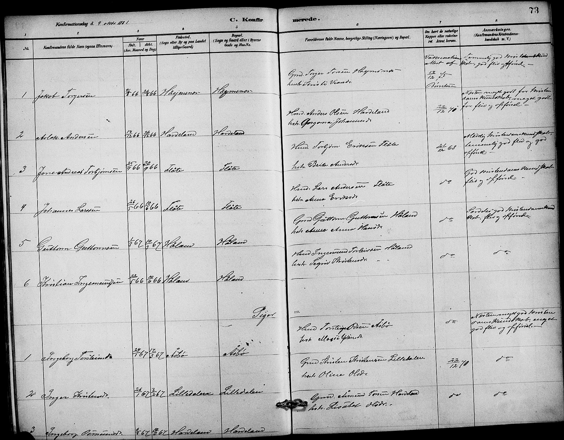Etne sokneprestembete, SAB/A-75001/H/Hab: Parish register (copy) no. C 4, 1879-1896, p. 73