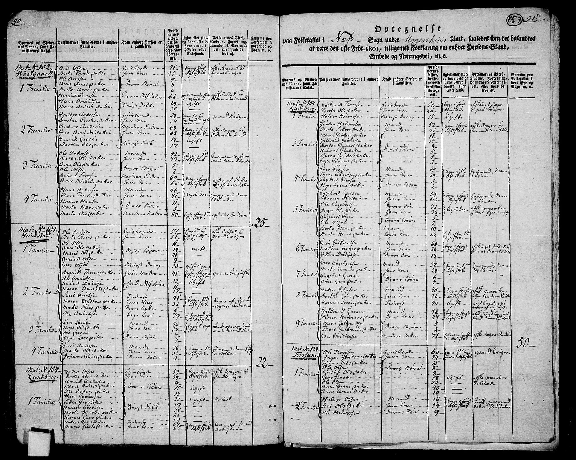 RA, 1801 census for 0236P Nes, 1801, p. 856b-857a