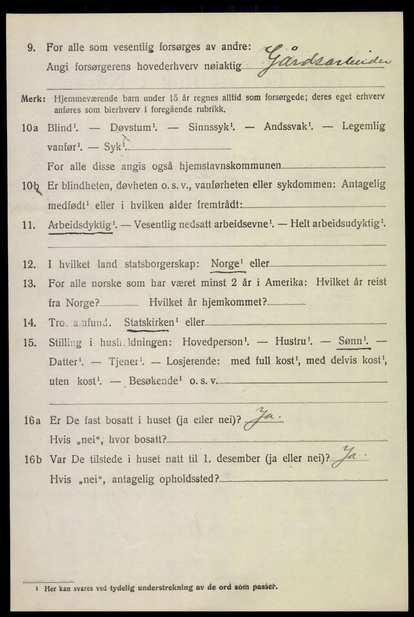 SAH, 1920 census for Lom, 1920, p. 2867