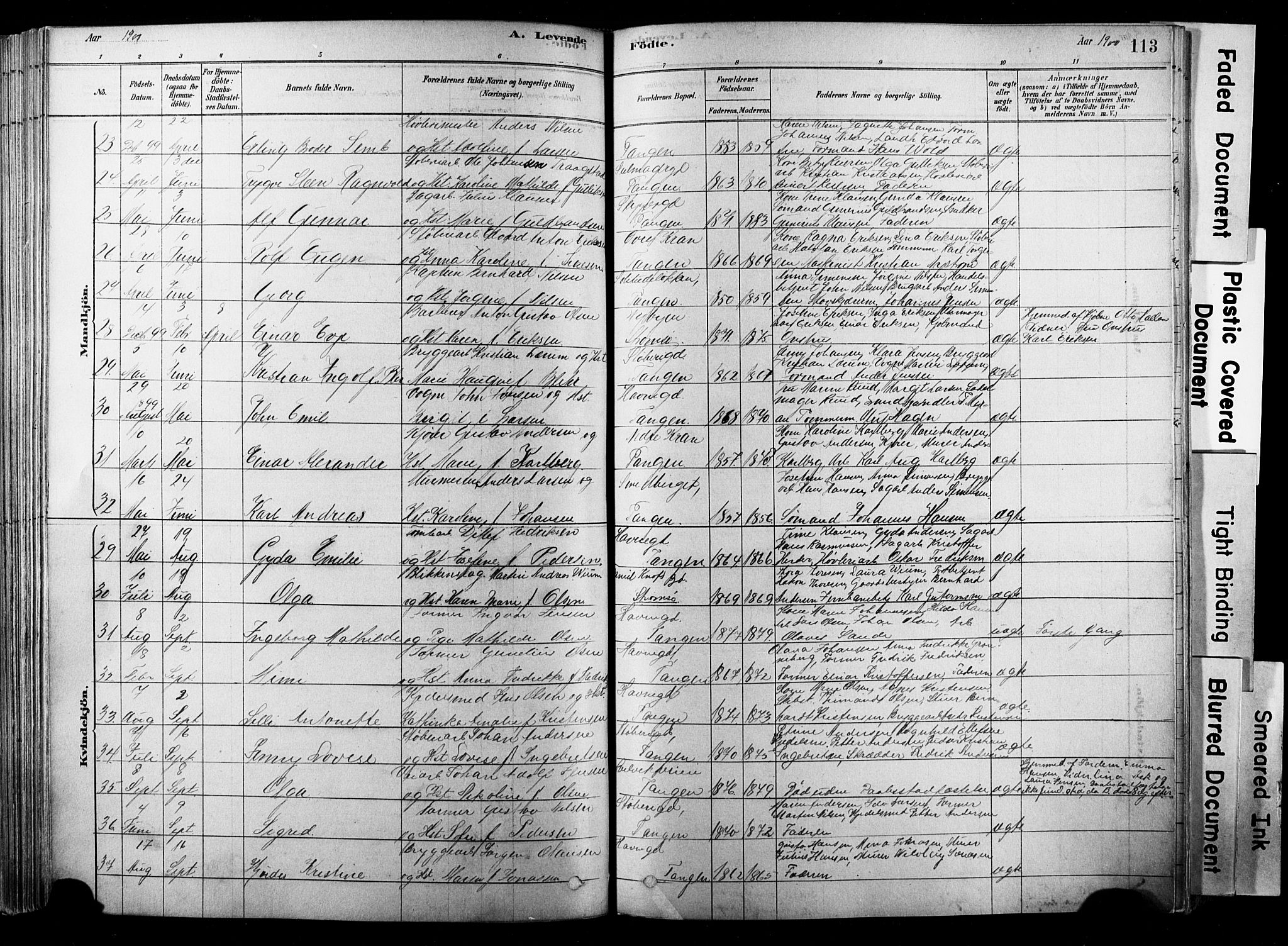 Strømsø kirkebøker, AV/SAKO-A-246/F/Fb/L0006: Parish register (official) no. II 6, 1879-1910, p. 113