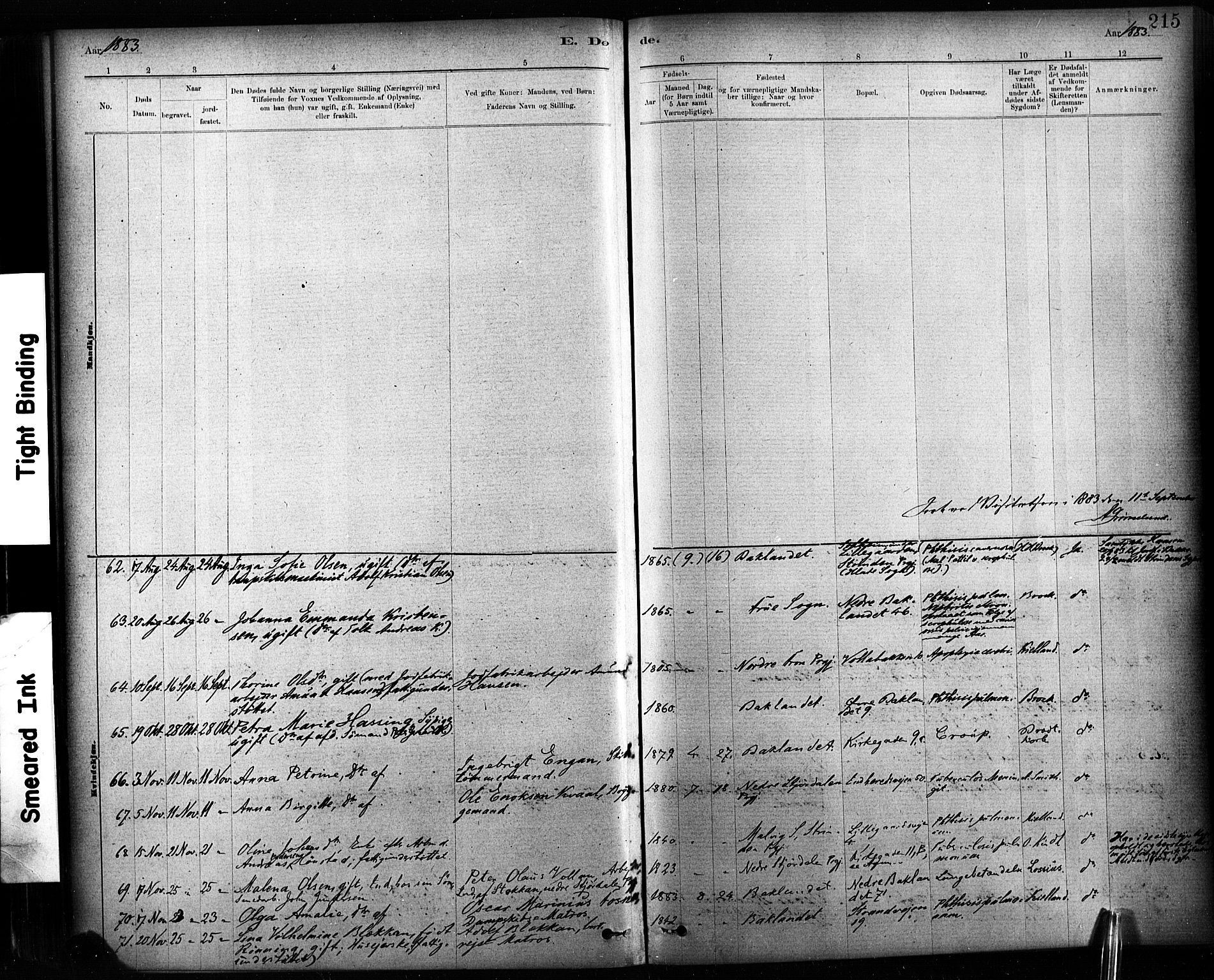 Ministerialprotokoller, klokkerbøker og fødselsregistre - Sør-Trøndelag, AV/SAT-A-1456/604/L0189: Parish register (official) no. 604A10, 1878-1892, p. 215