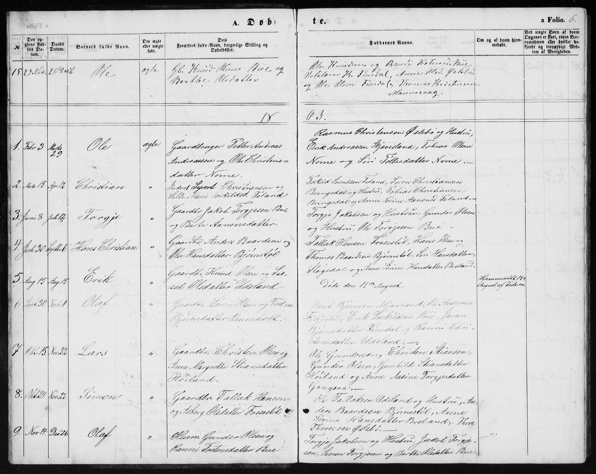 Holum sokneprestkontor, AV/SAK-1111-0022/F/Fb/Fbc/L0002: Parish register (copy) no. B 2, 1860-1882, p. 6