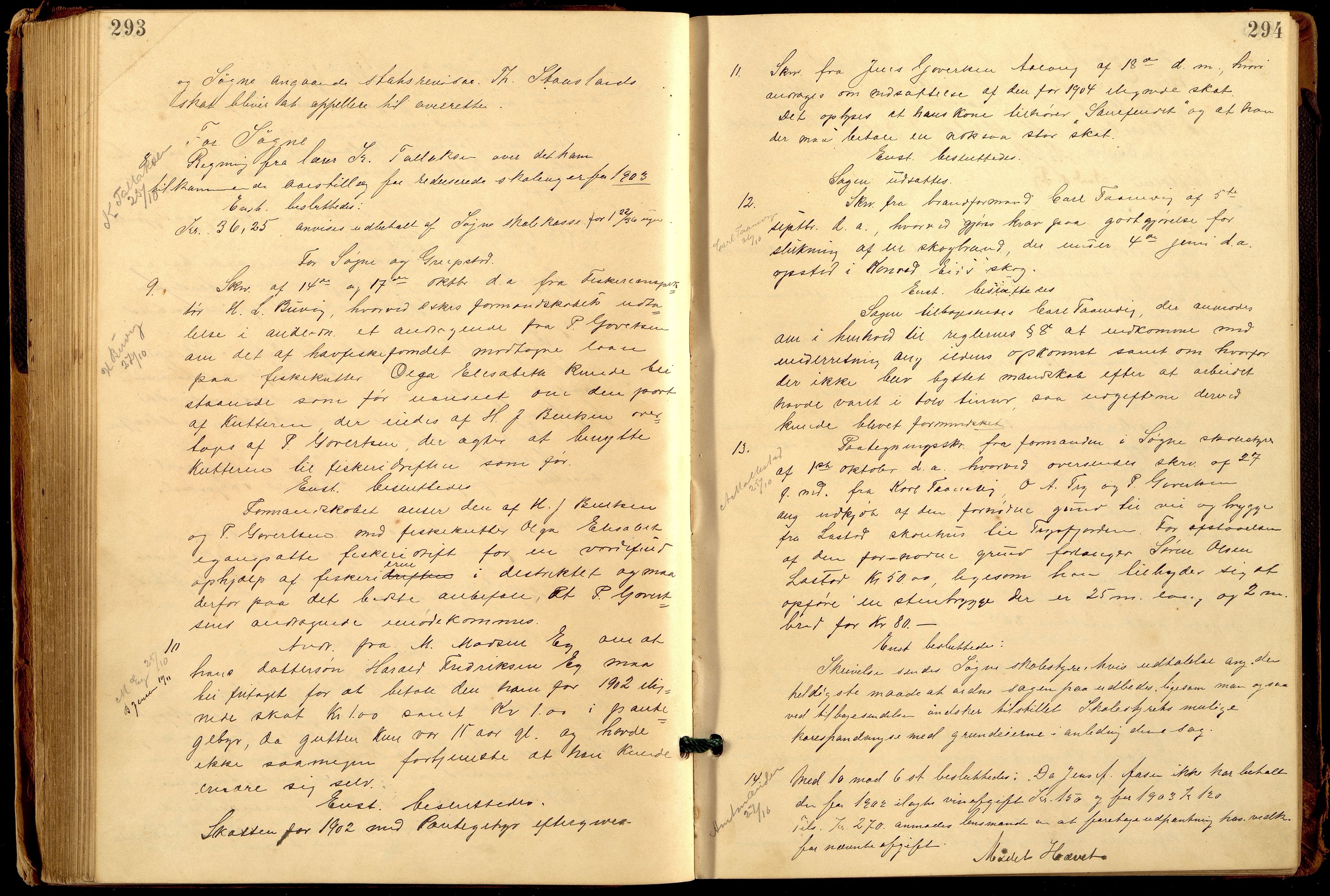 Søgne og Greipstad kommune - Formannskapet, ARKSOR/1018SG120/A/L0006: Møtebok (d), 1901-1909, p. 293-294