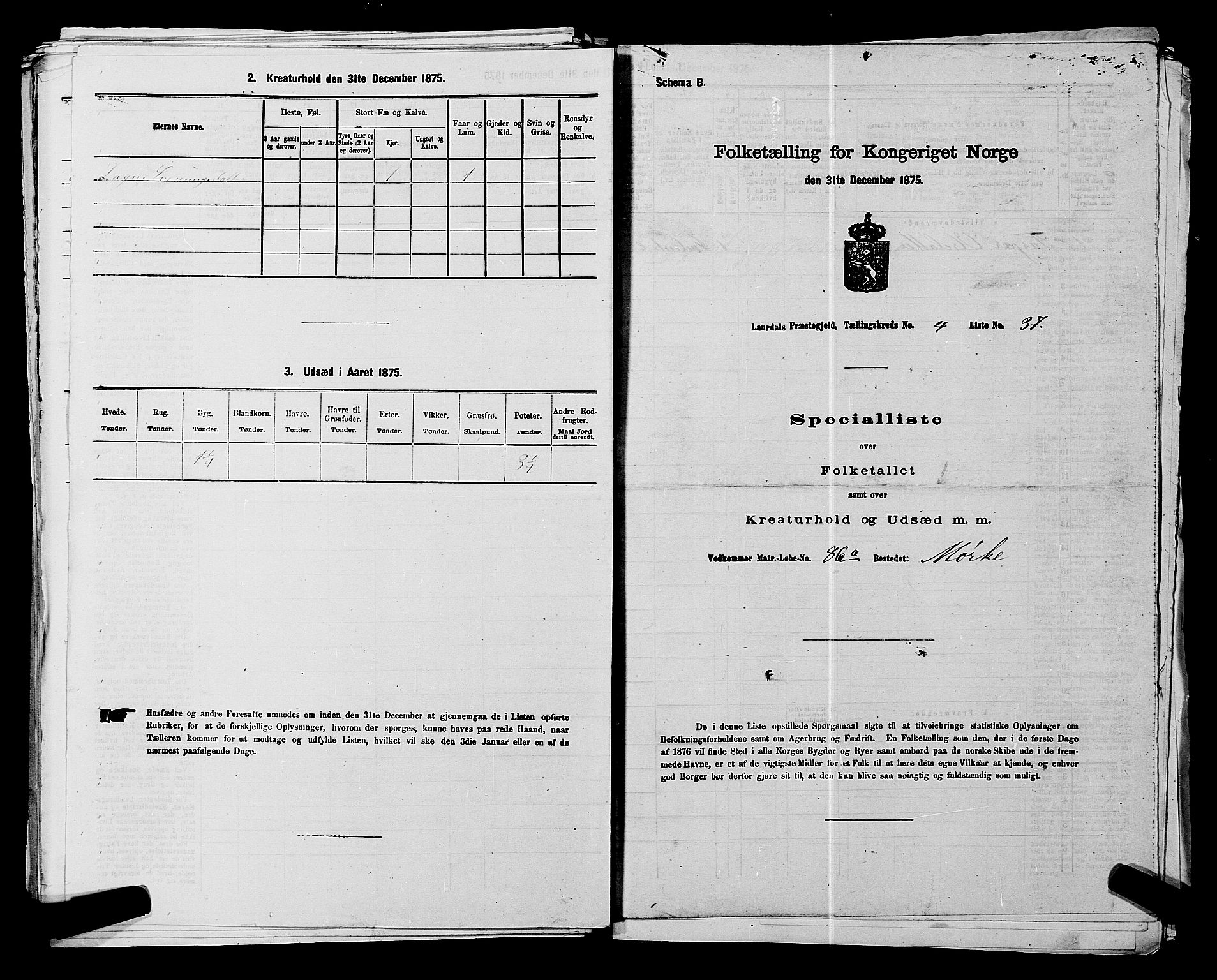 SAKO, 1875 census for 0833P Lårdal, 1875, p. 491