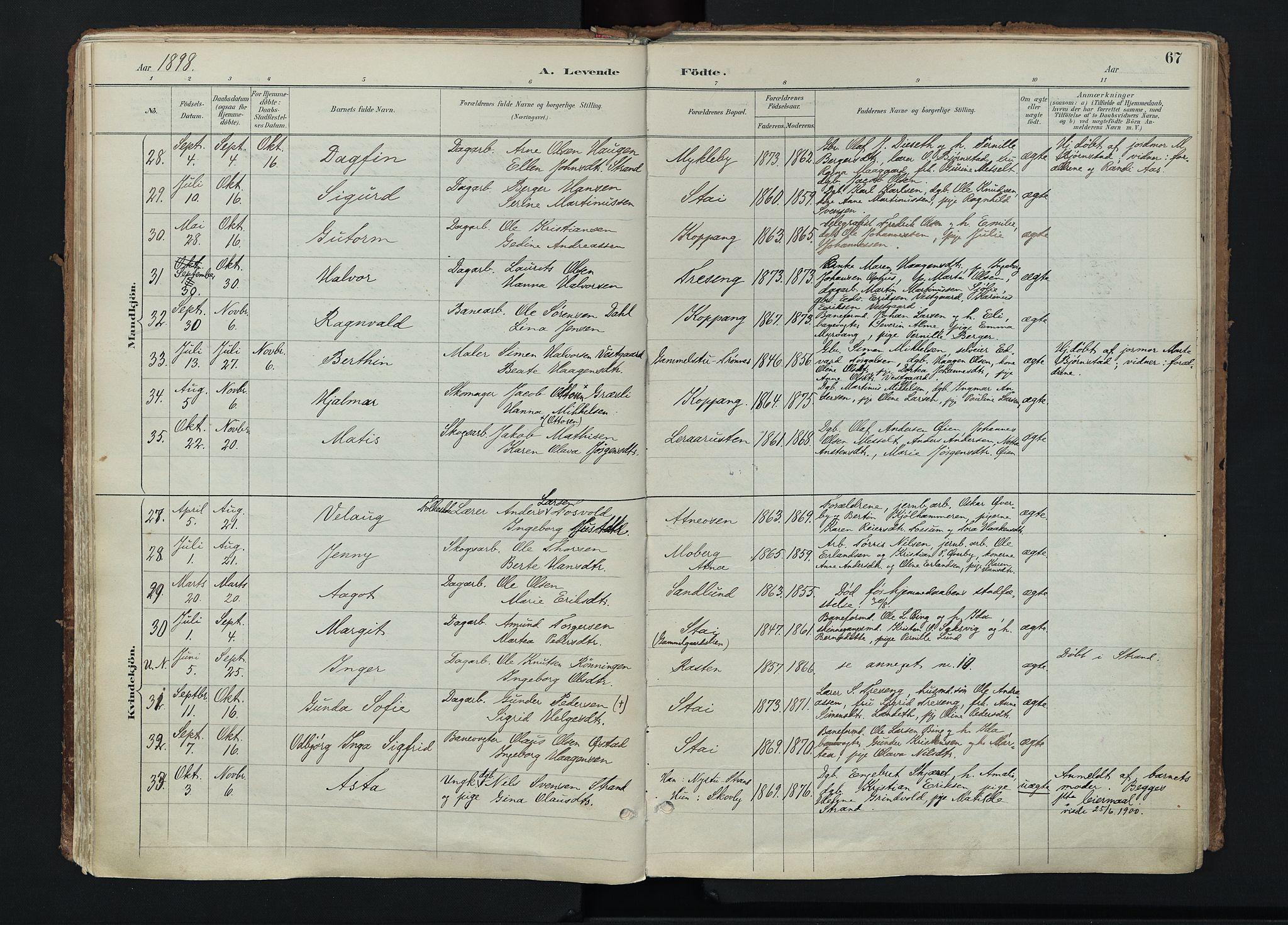 Stor-Elvdal prestekontor, SAH/PREST-052/H/Ha/Haa/L0004: Parish register (official) no. 4, 1890-1922, p. 67