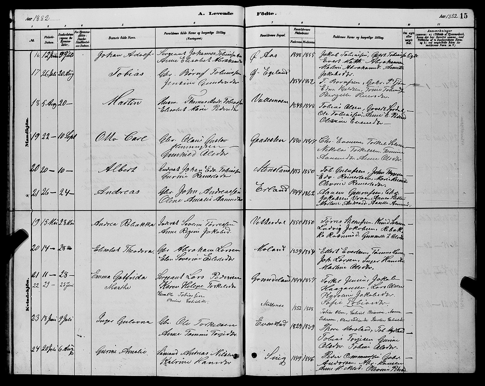 Sør-Audnedal sokneprestkontor, AV/SAK-1111-0039/F/Fb/Fbb/L0005: Parish register (copy) no. B 5, 1880-1892, p. 15