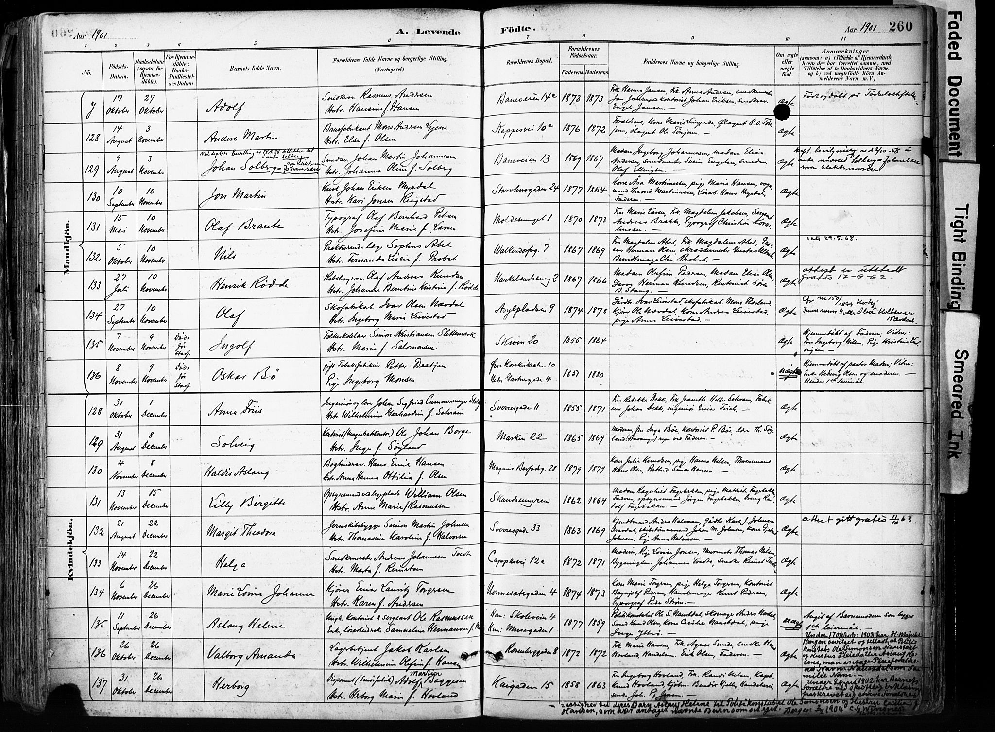 Domkirken sokneprestembete, SAB/A-74801/H/Haa/L0024: Parish register (official) no. B 7, 1888-1903, p. 260