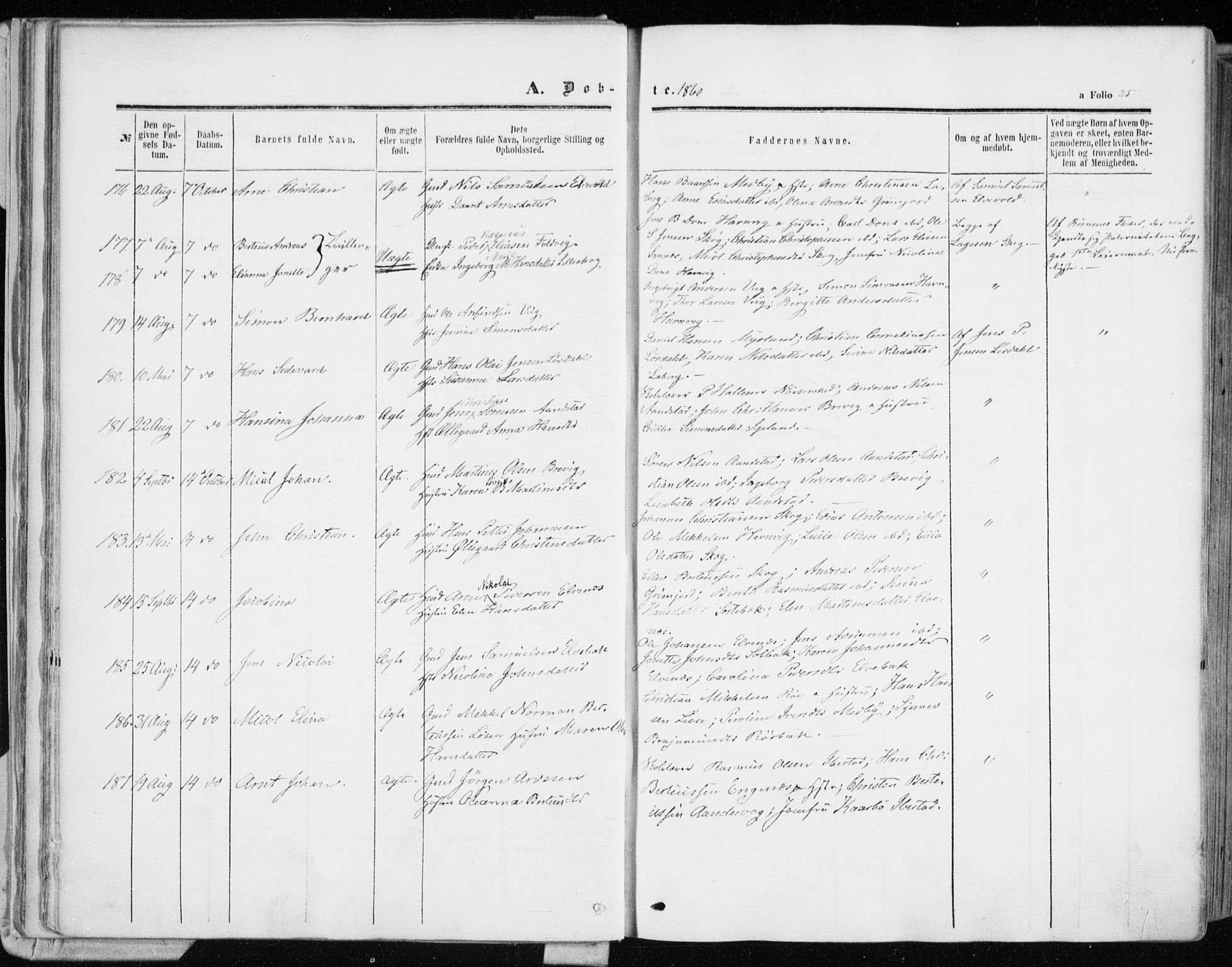 Ibestad sokneprestembete, AV/SATØ-S-0077/H/Ha/Haa/L0009kirke: Parish register (official) no. 9, 1859-1868, p. 25