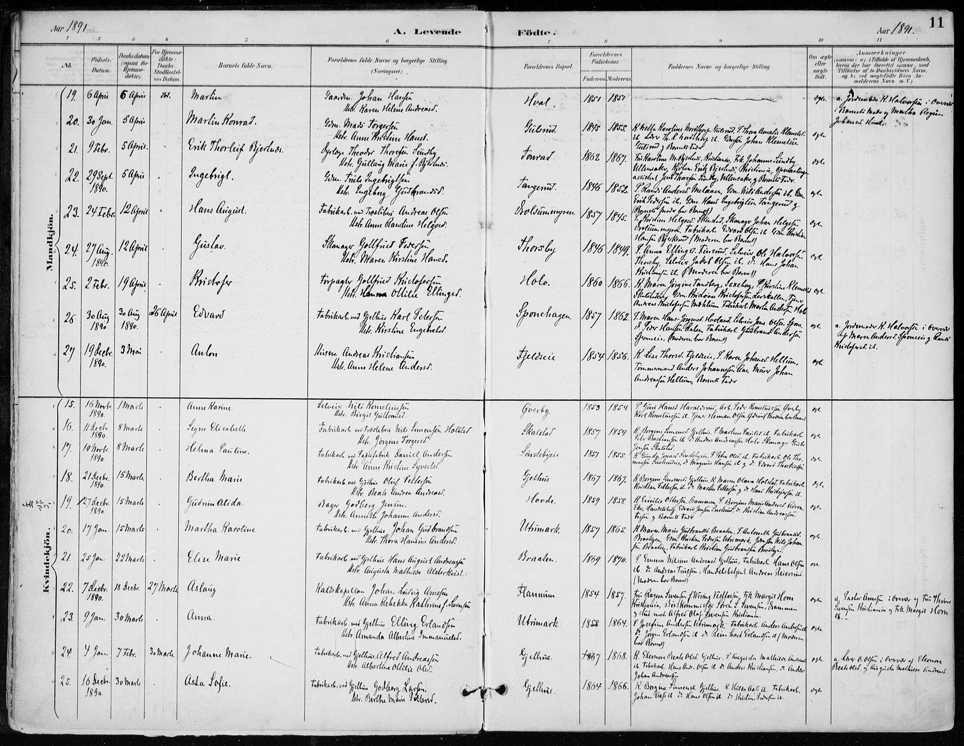 Modum kirkebøker, AV/SAKO-A-234/F/Fa/L0012: Parish register (official) no. 12, 1890-1898, p. 11