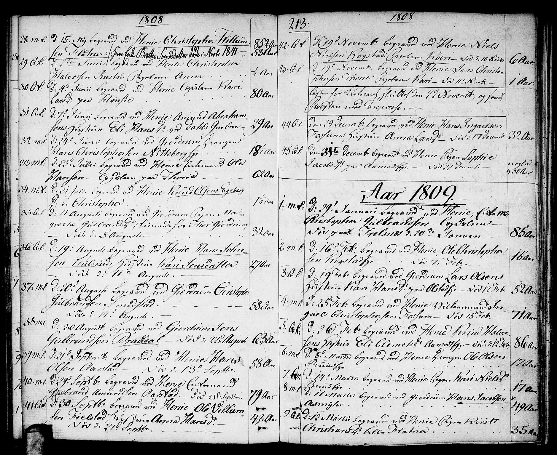 Gjerdrum prestekontor Kirkebøker, AV/SAO-A-10412b/F/Fa/L0003: Parish register (official) no. I 3, 1798-1815, p. 213