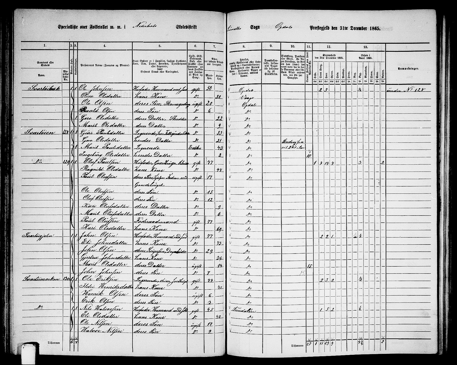 RA, 1865 census for Oppdal, 1865, p. 81