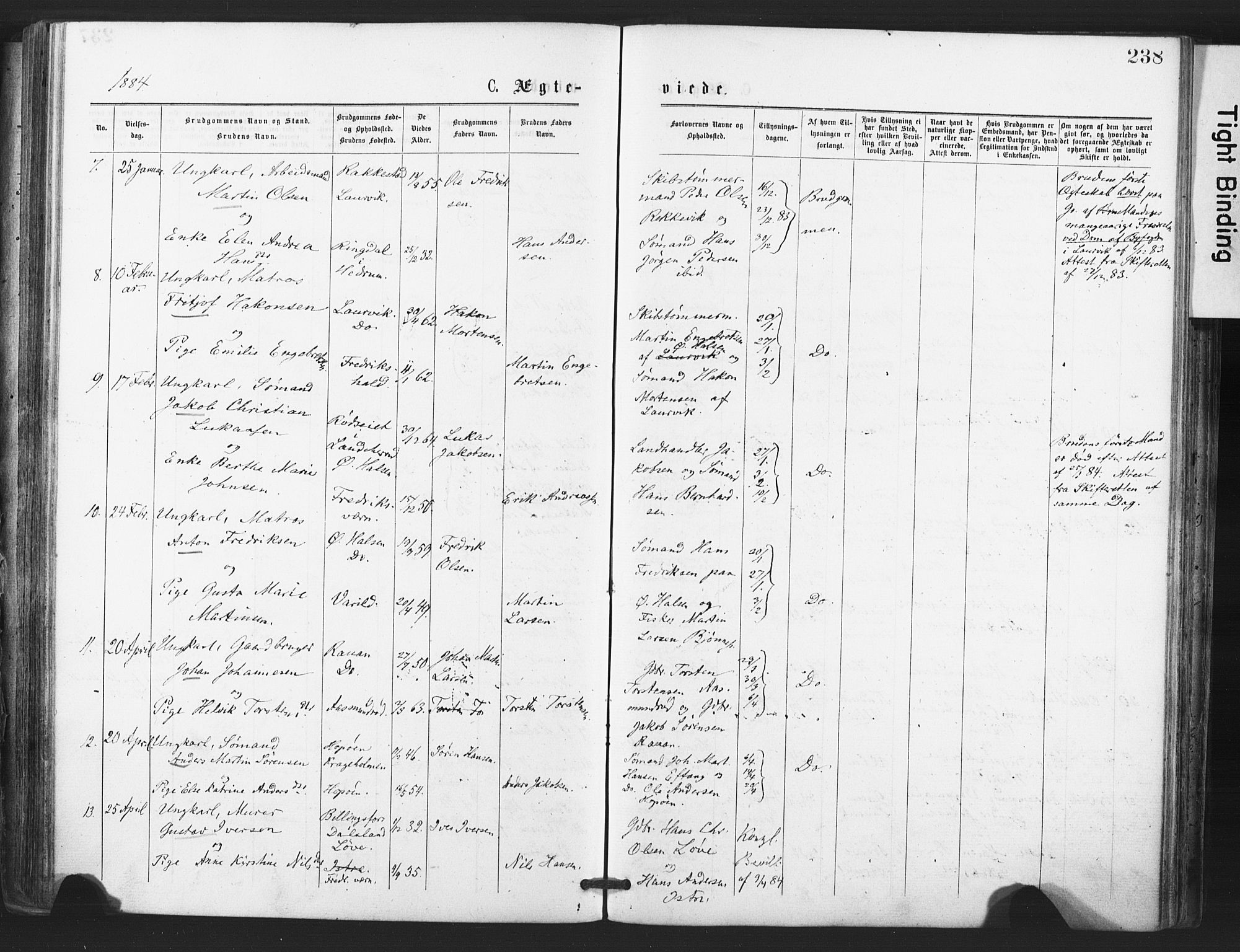 Tjølling kirkebøker, AV/SAKO-A-60/F/Fa/L0008: Parish register (official) no. 8, 1877-1886, p. 238