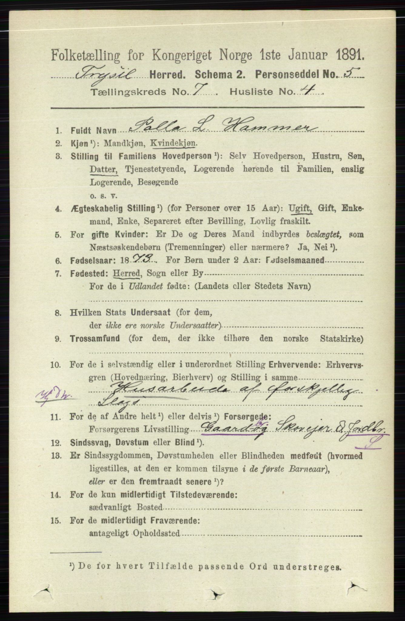 RA, 1891 census for 0428 Trysil, 1891, p. 3160