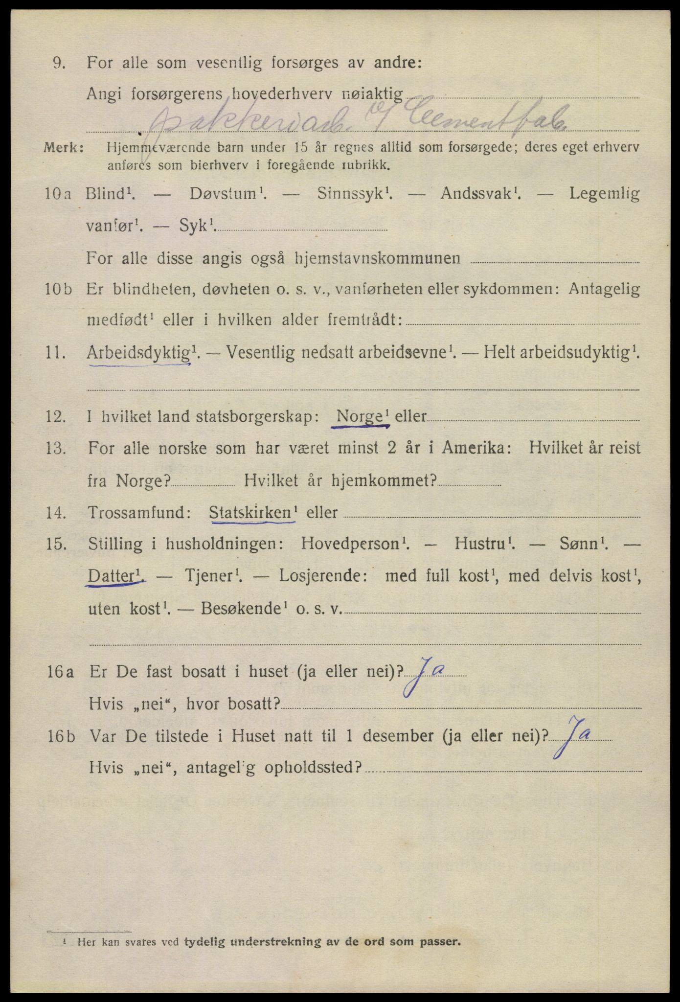 SAKO, 1920 census for Brevik, 1920, p. 6565