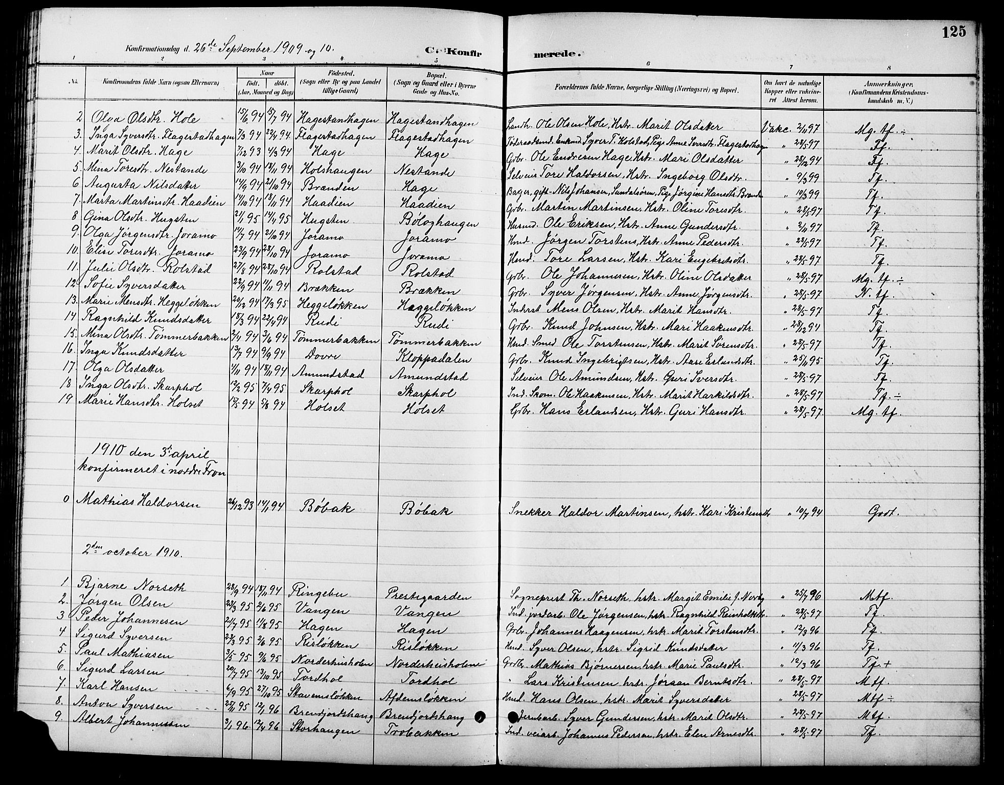 Lesja prestekontor, SAH/PREST-068/H/Ha/Hab/L0007: Parish register (copy) no. 7, 1895-1919, p. 125