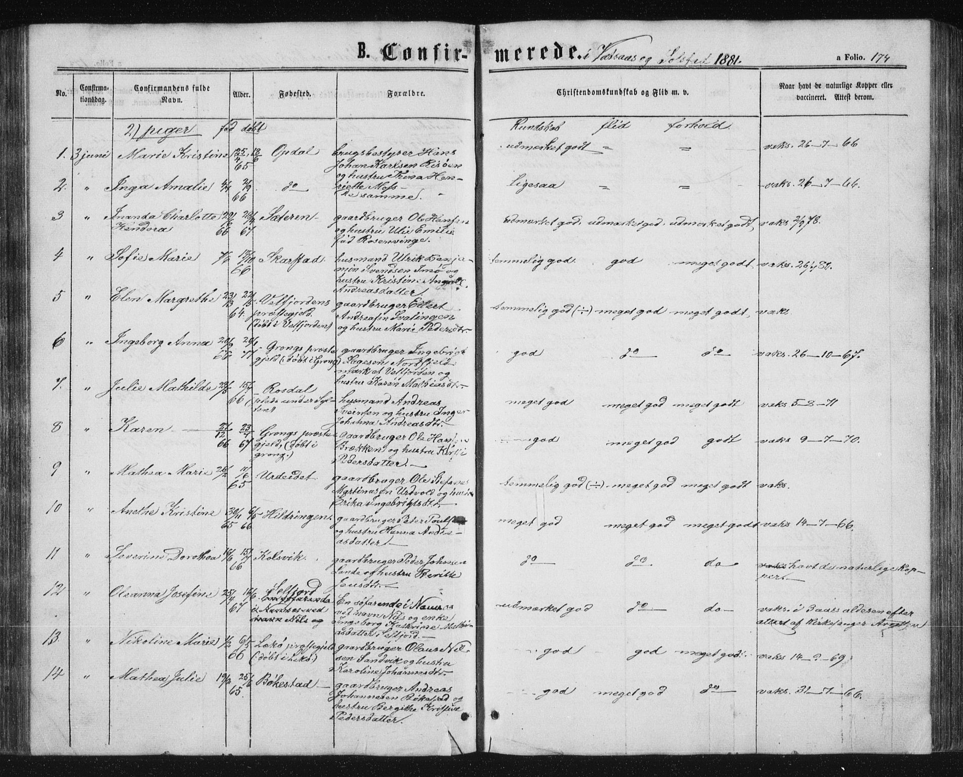 Ministerialprotokoller, klokkerbøker og fødselsregistre - Nordland, AV/SAT-A-1459/810/L0158: Parish register (copy) no. 810C02 /1, 1863-1883, p. 174