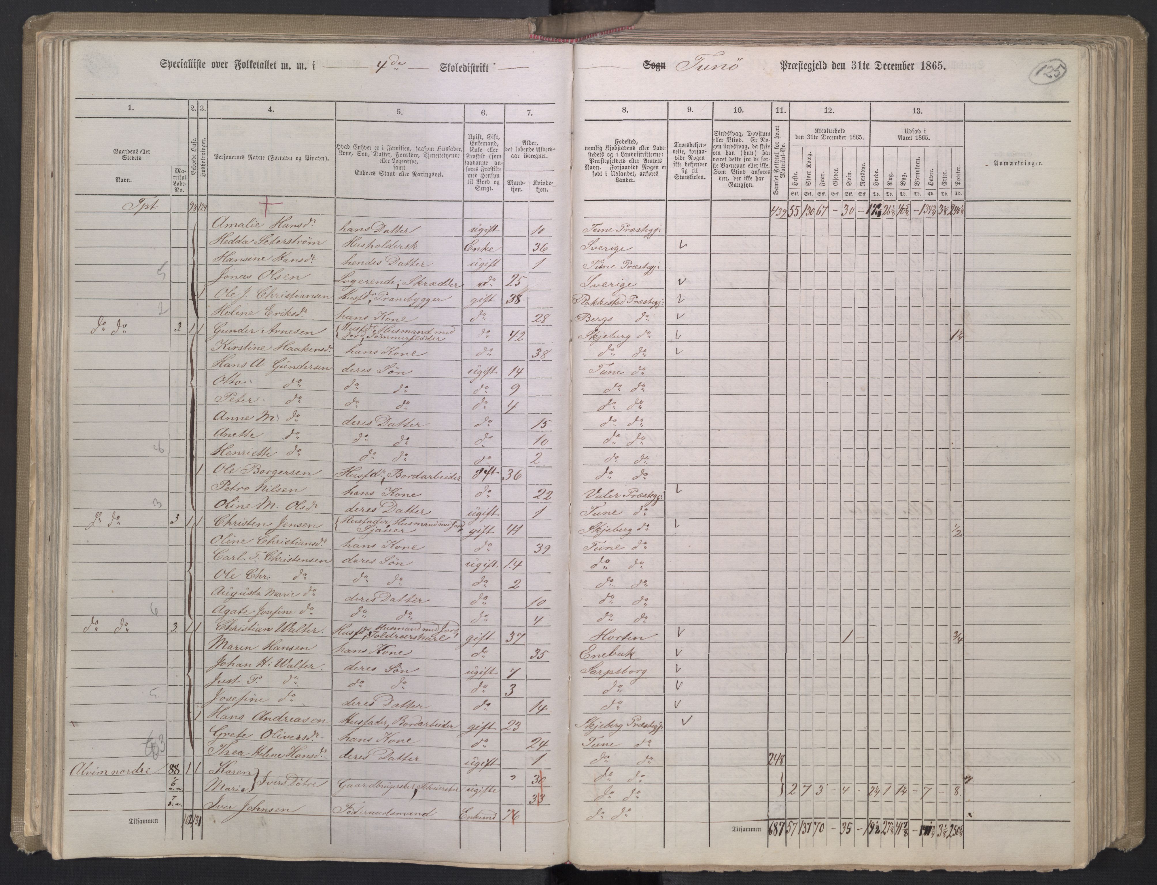 RA, 1865 census for Tune, 1865, p. 118