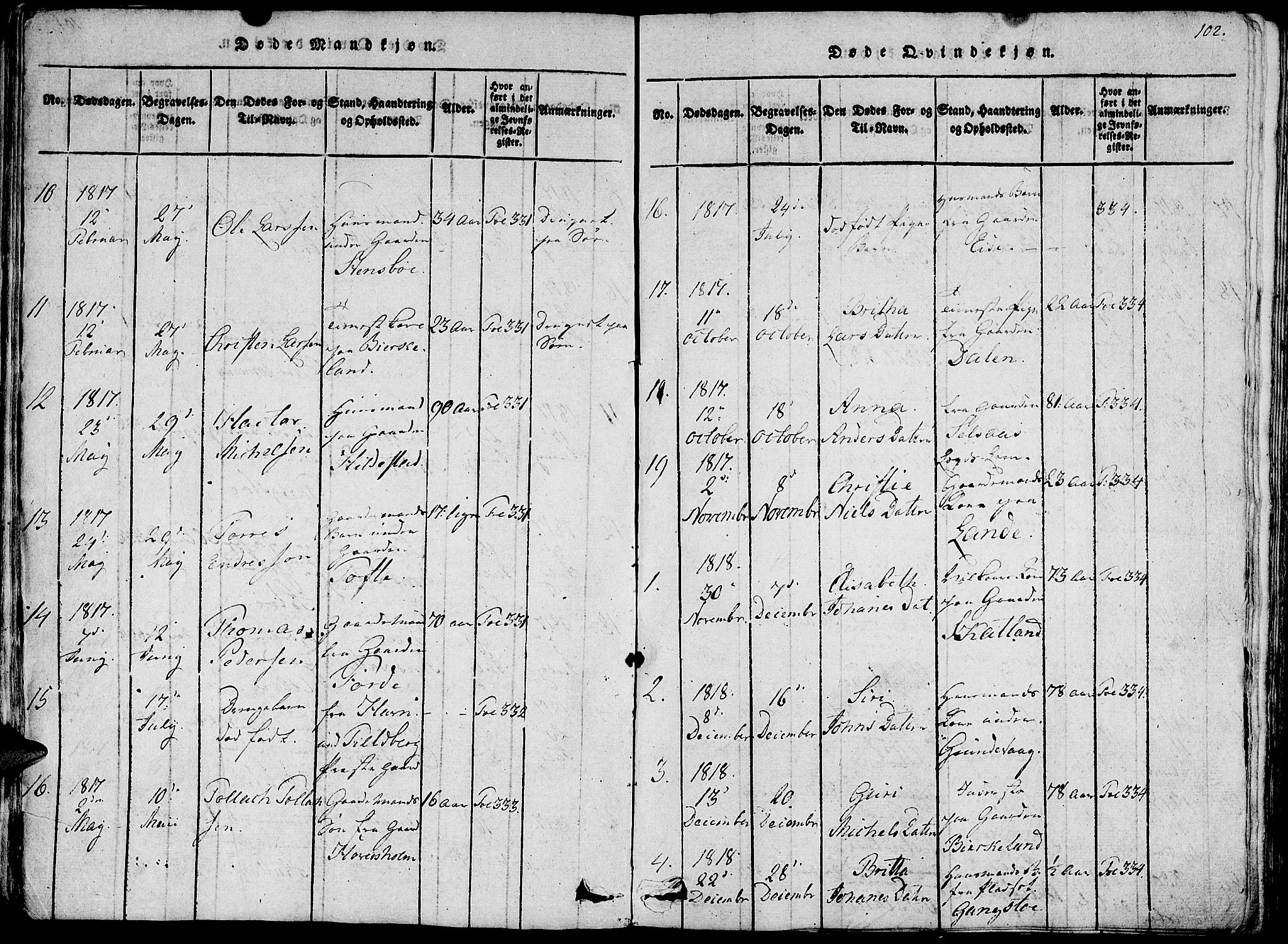 Fjelberg sokneprestembete, AV/SAB-A-75201/H/Haa: Parish register (official) no. A 4, 1816-1822, p. 102