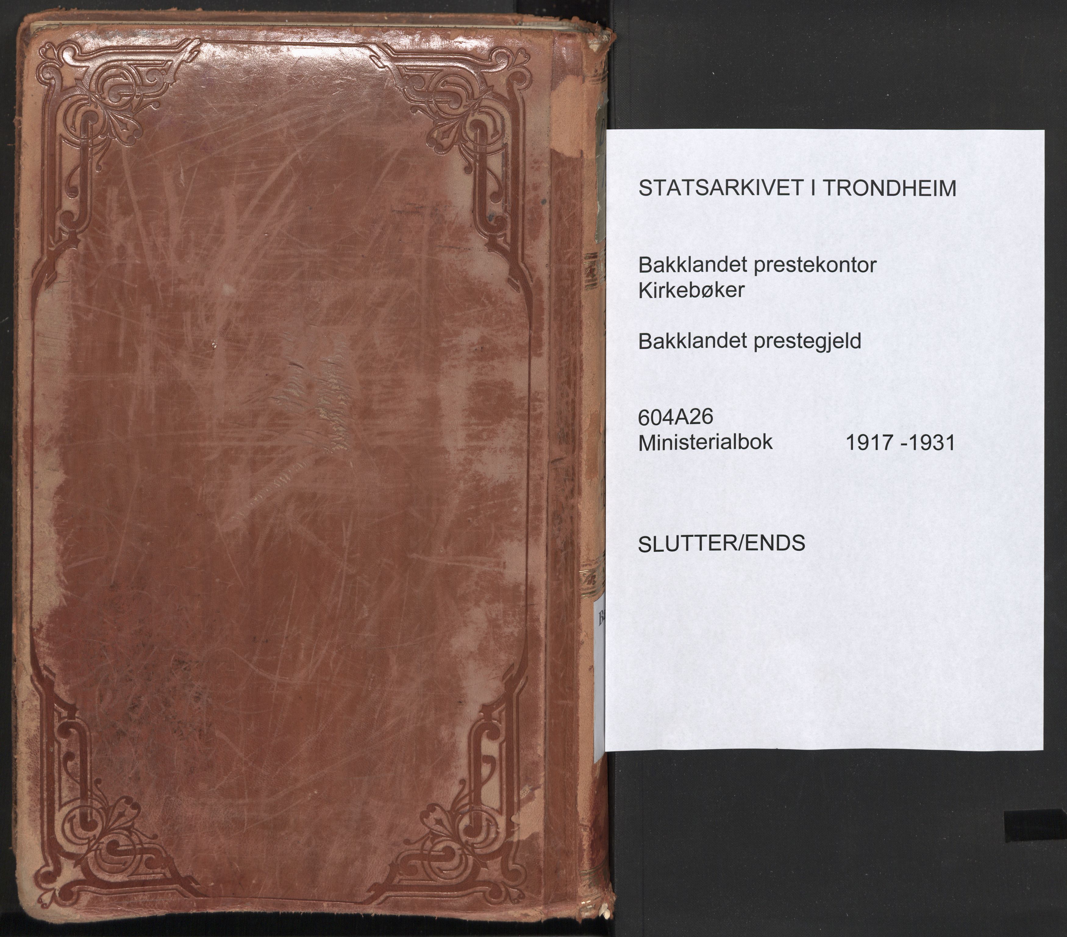 Ministerialprotokoller, klokkerbøker og fødselsregistre - Sør-Trøndelag, SAT/A-1456/604/L0206: Parish register (official) no. 604A26, 1917-1931, p. 255