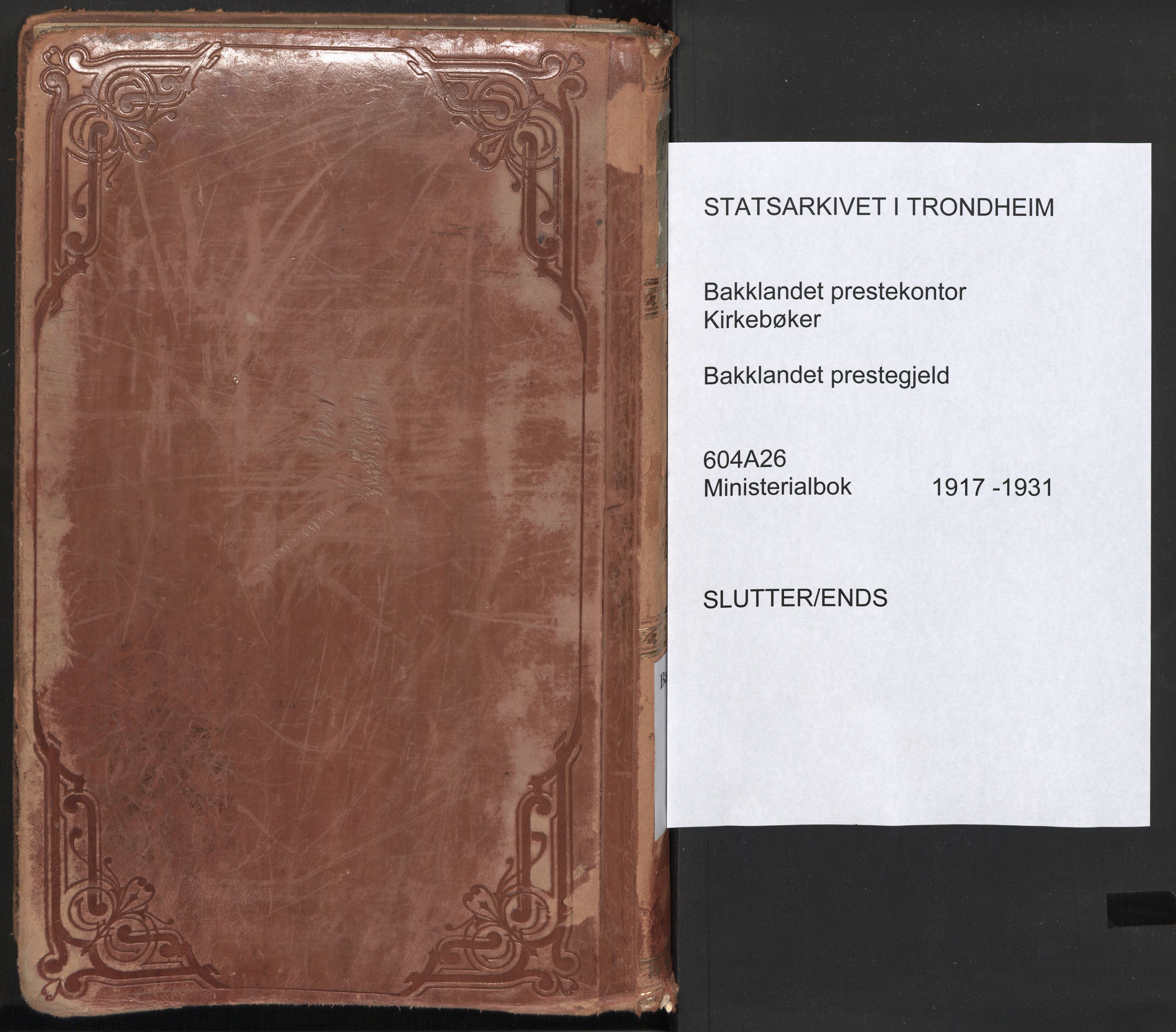 Ministerialprotokoller, klokkerbøker og fødselsregistre - Sør-Trøndelag, AV/SAT-A-1456/604/L0206: Parish register (official) no. 604A26, 1917-1931, p. 255