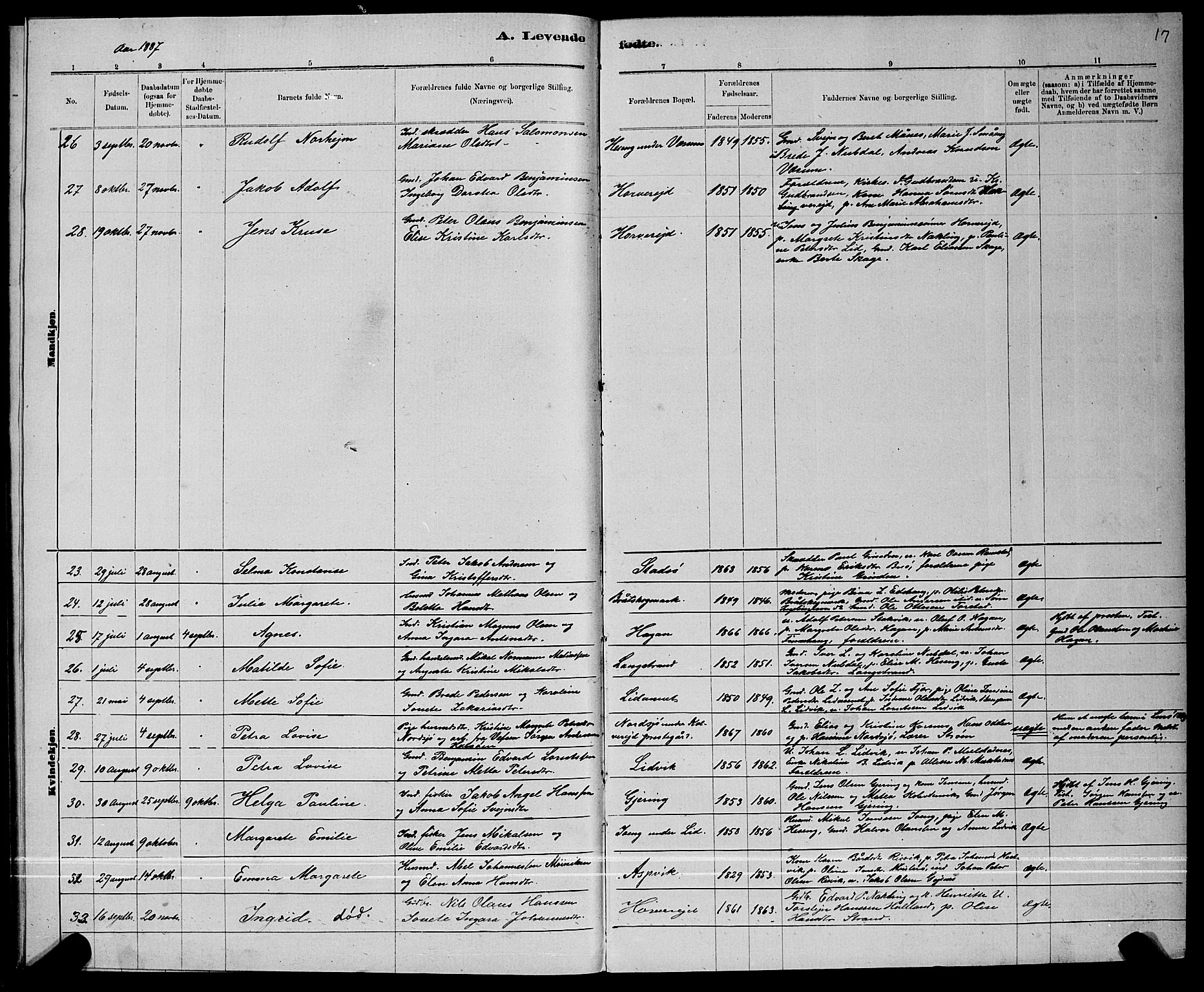 Ministerialprotokoller, klokkerbøker og fødselsregistre - Nord-Trøndelag, AV/SAT-A-1458/780/L0651: Parish register (copy) no. 780C03, 1884-1898, p. 17