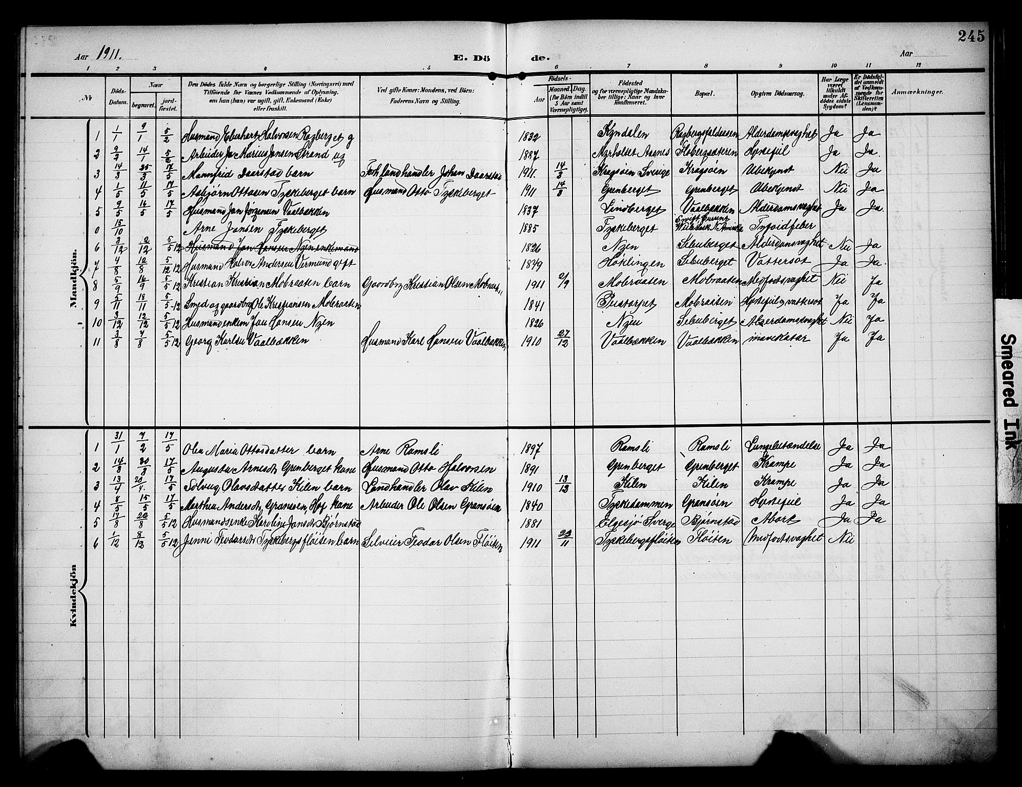 Åsnes prestekontor, AV/SAH-PREST-042/H/Ha/Hab/L0006: Parish register (copy) no. 6, 1903-1929, p. 245