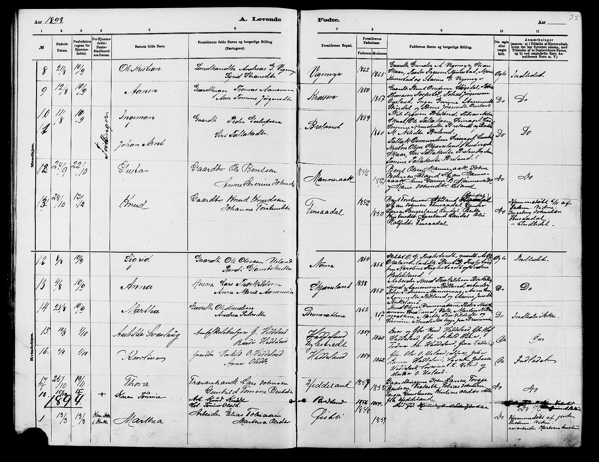 Holum sokneprestkontor, AV/SAK-1111-0022/F/Fb/Fbc/L0003: Parish register (copy) no. B 3, 1882-1908, p. 34