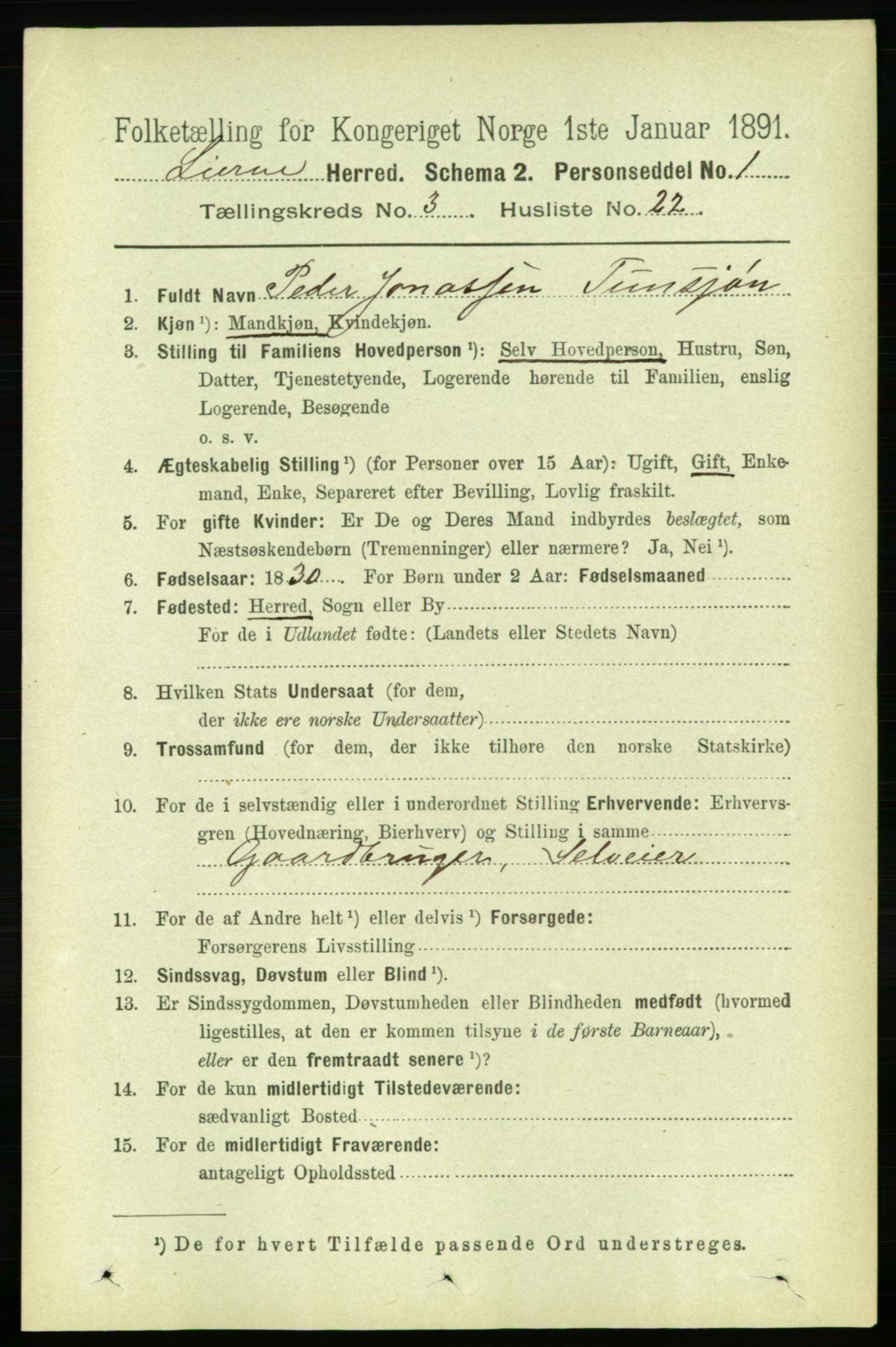 RA, 1891 census for 1737 Lierne, 1891, p. 944