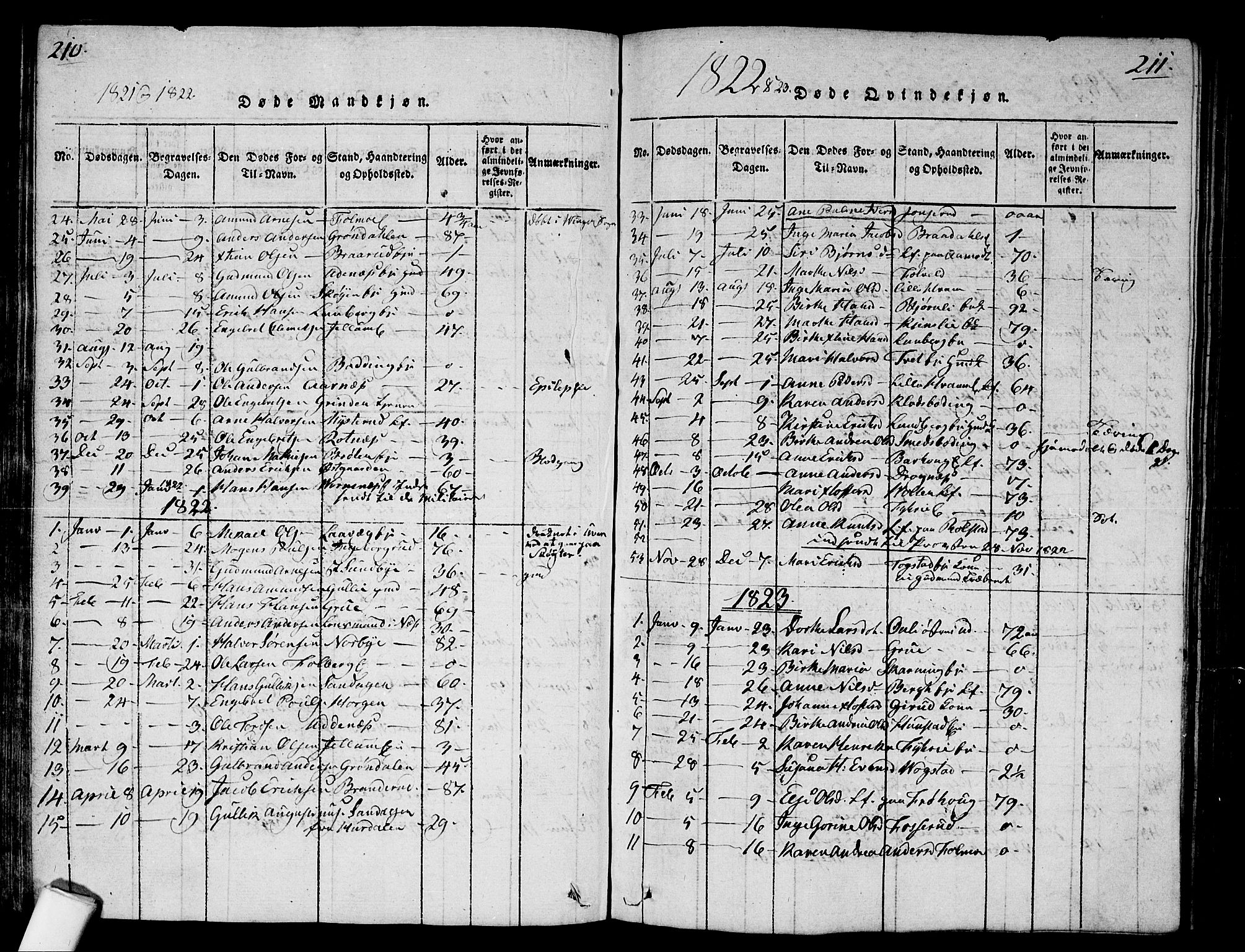 Nes prestekontor Kirkebøker, AV/SAO-A-10410/G/Ga/L0001: Parish register (copy) no. I 1, 1815-1835, p. 210-211