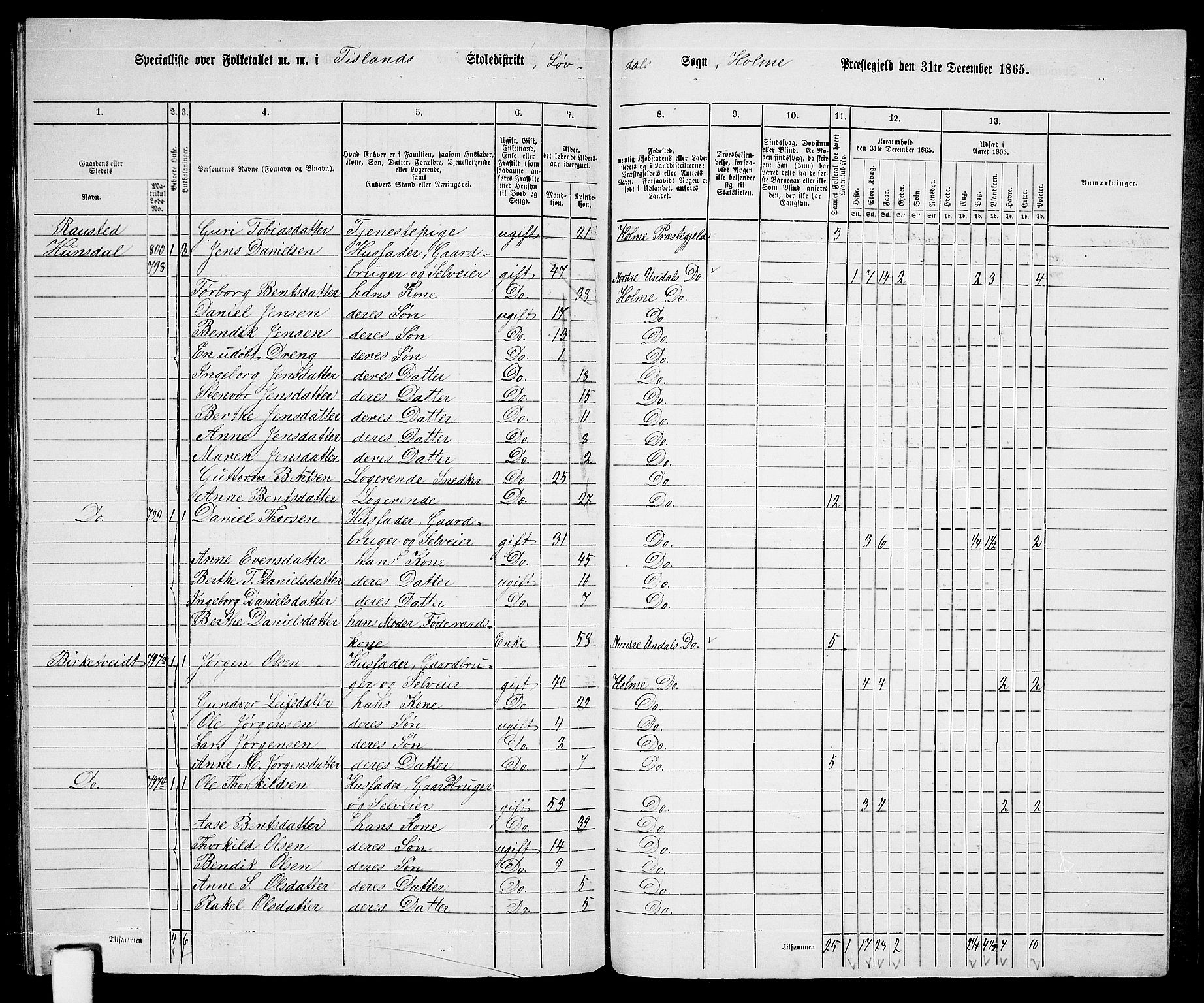 RA, 1865 census for Holum, 1865, p. 167