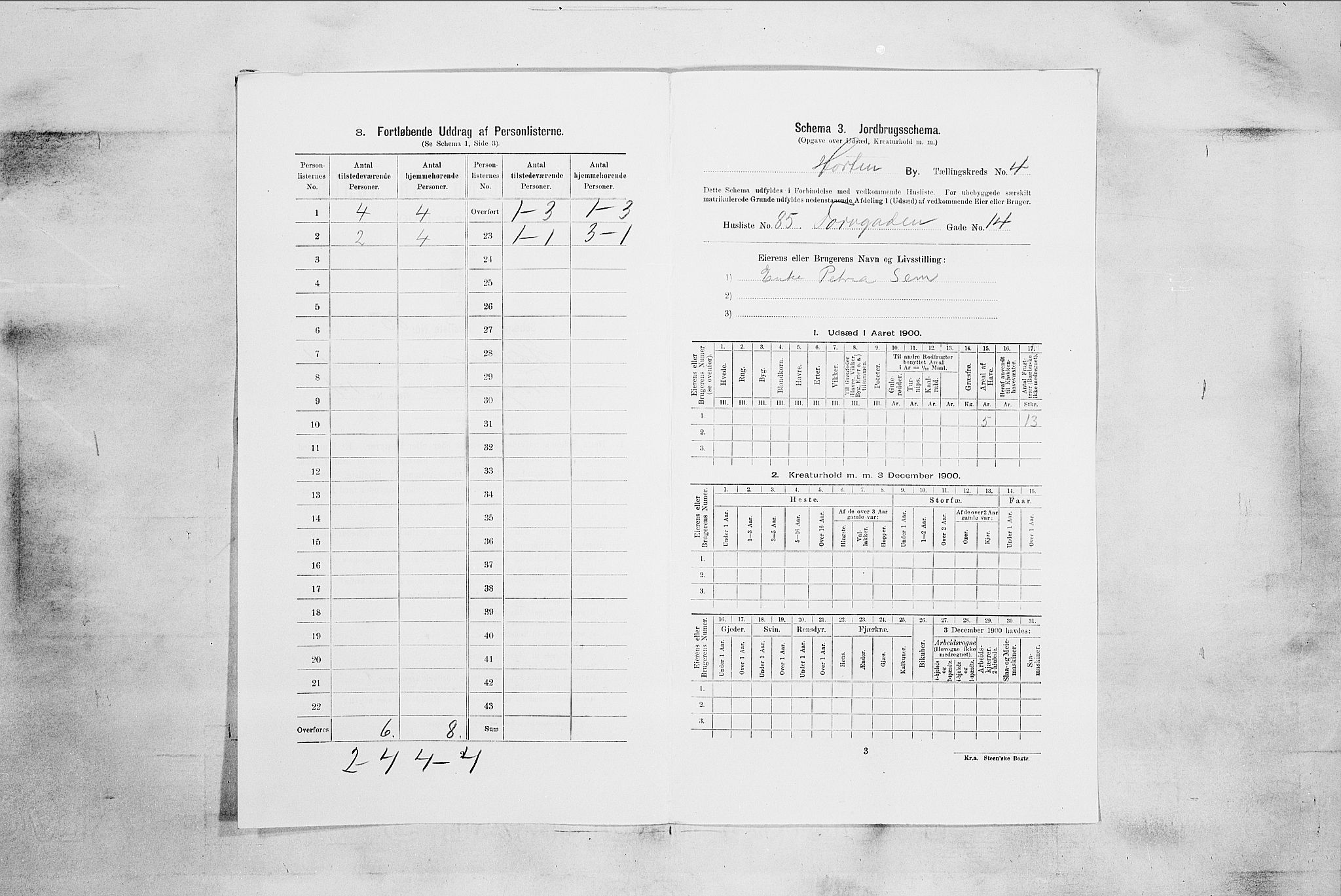 RA, 1900 census for Horten, 1900, p. 3063