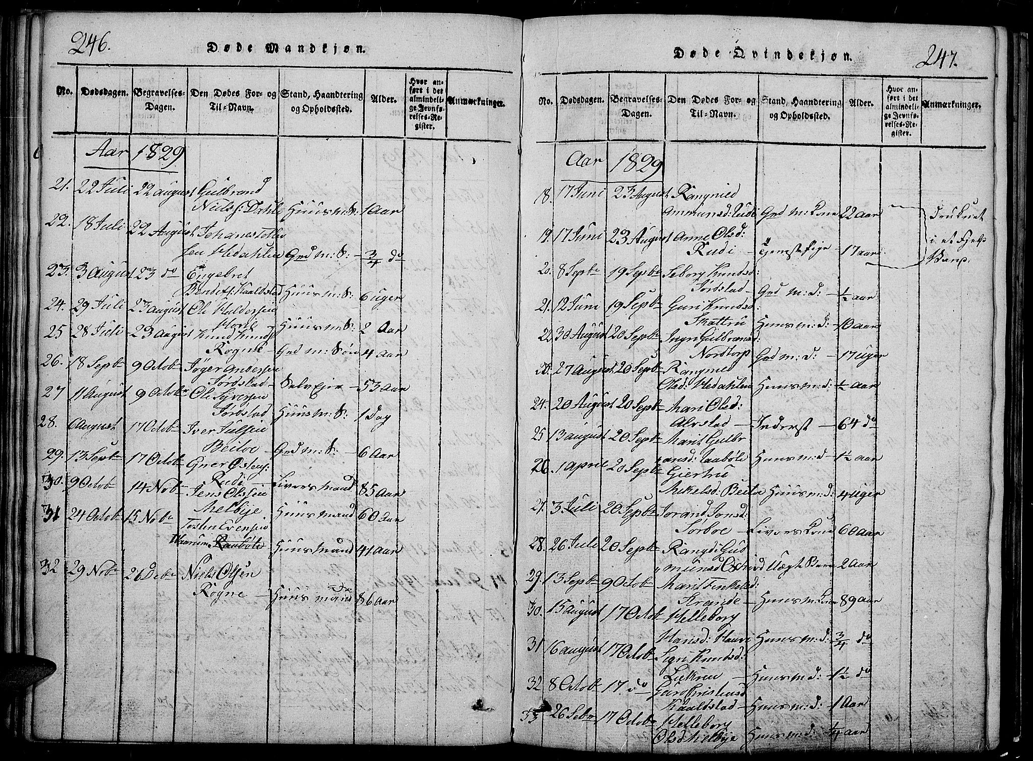 Slidre prestekontor, SAH/PREST-134/H/Ha/Hab/L0002: Parish register (copy) no. 2, 1814-1839, p. 246-247