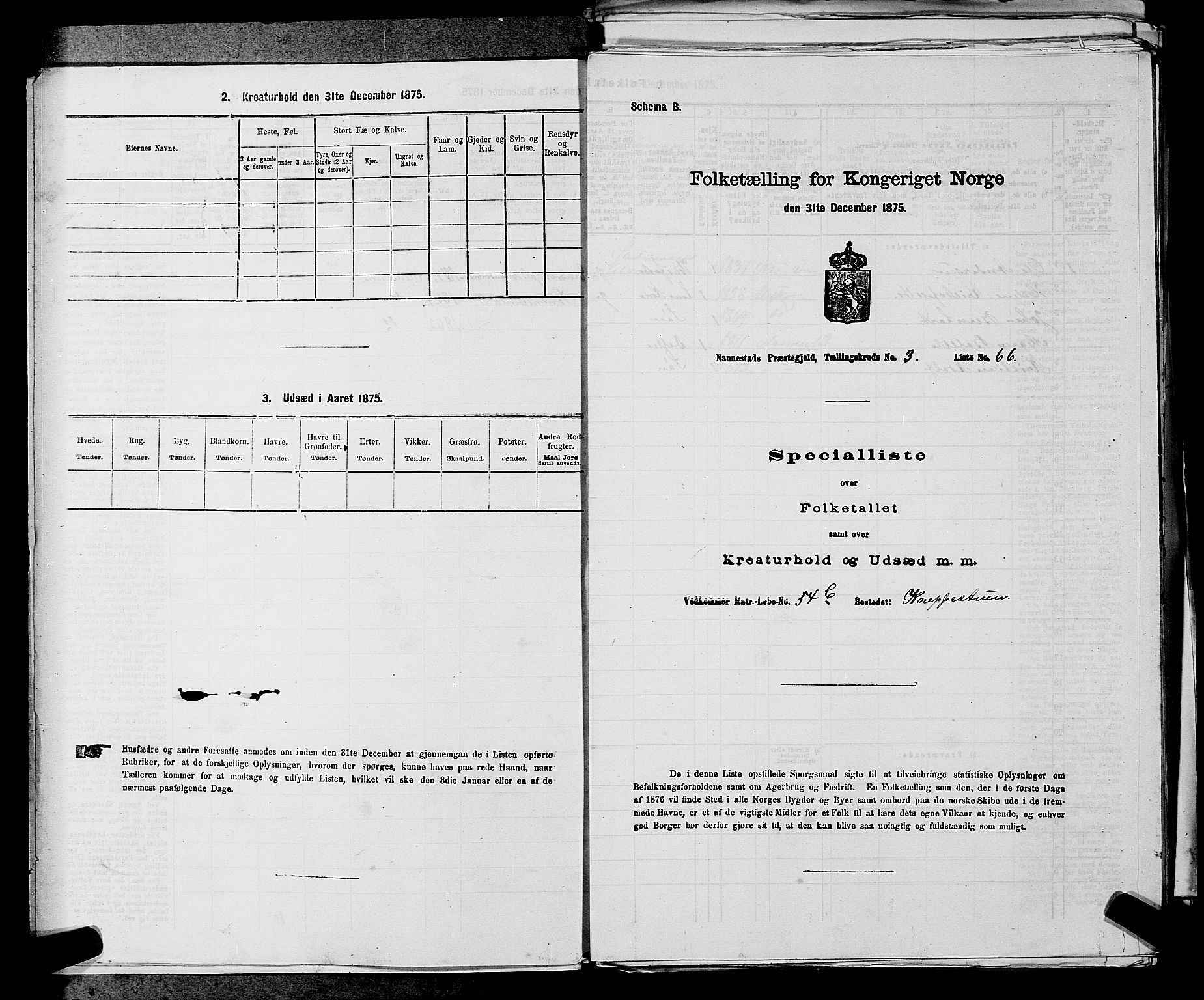RA, 1875 census for 0238P Nannestad, 1875, p. 410