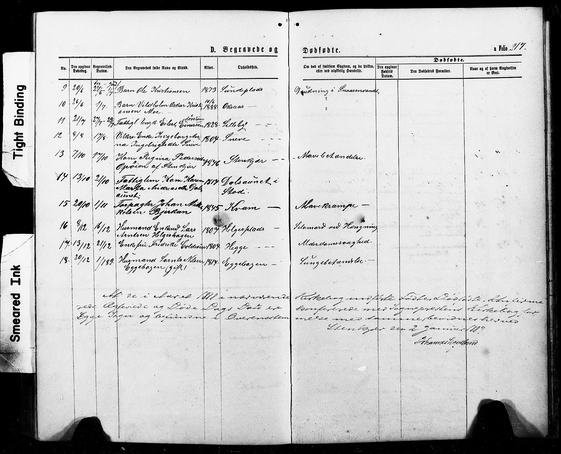 Ministerialprotokoller, klokkerbøker og fødselsregistre - Nord-Trøndelag, SAT/A-1458/740/L0380: Parish register (copy) no. 740C01, 1868-1902, p. 217
