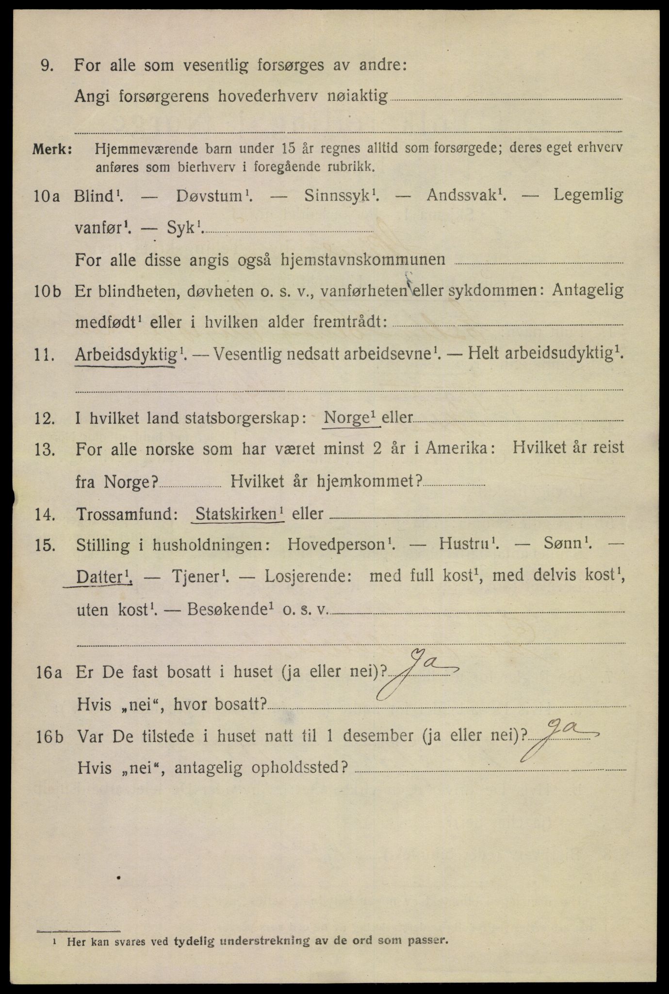 SAKO, 1920 census for Skien, 1920, p. 16845
