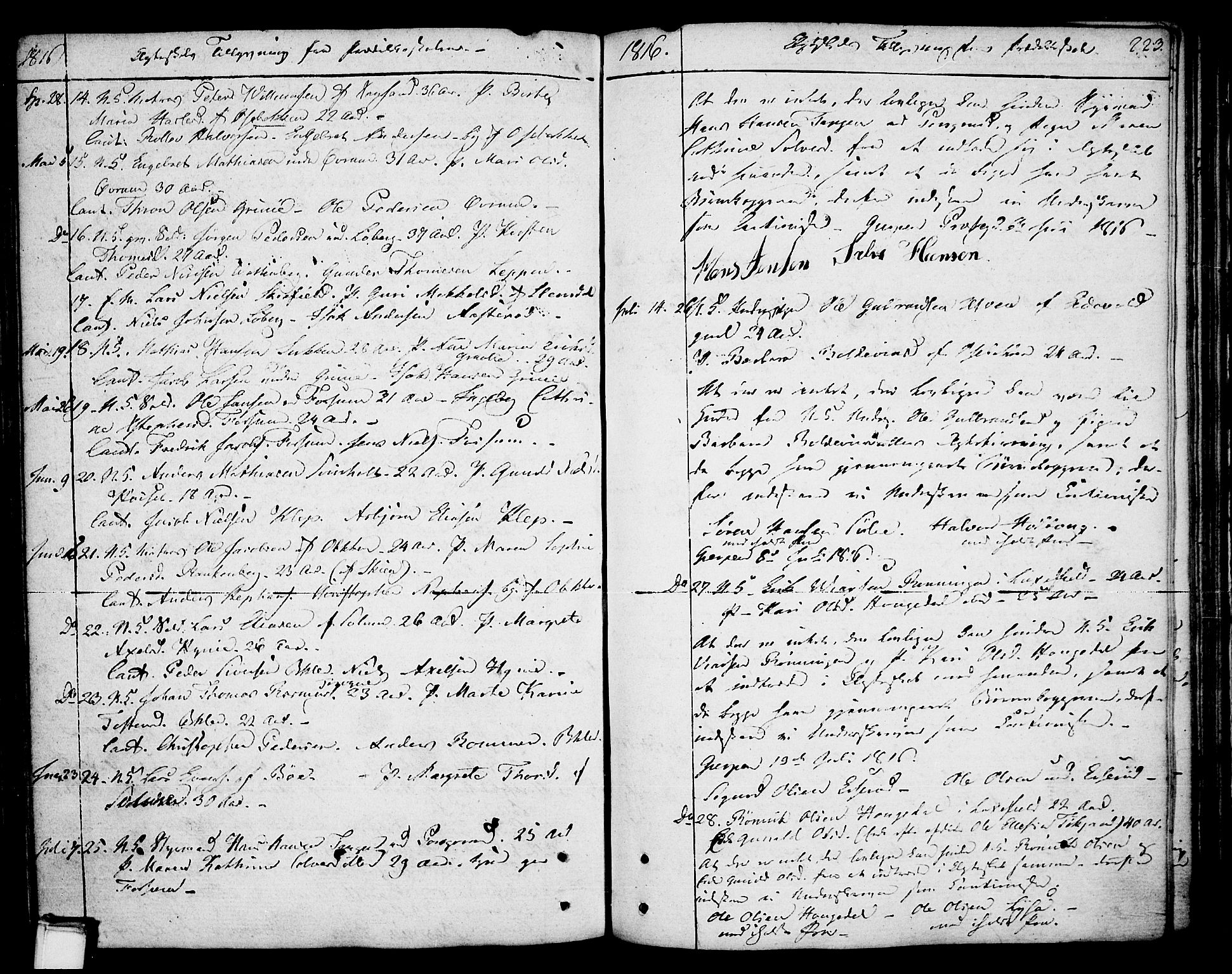 Gjerpen kirkebøker, SAKO/A-265/F/Fa/L0003: Parish register (official) no. I 3, 1796-1814, p. 223