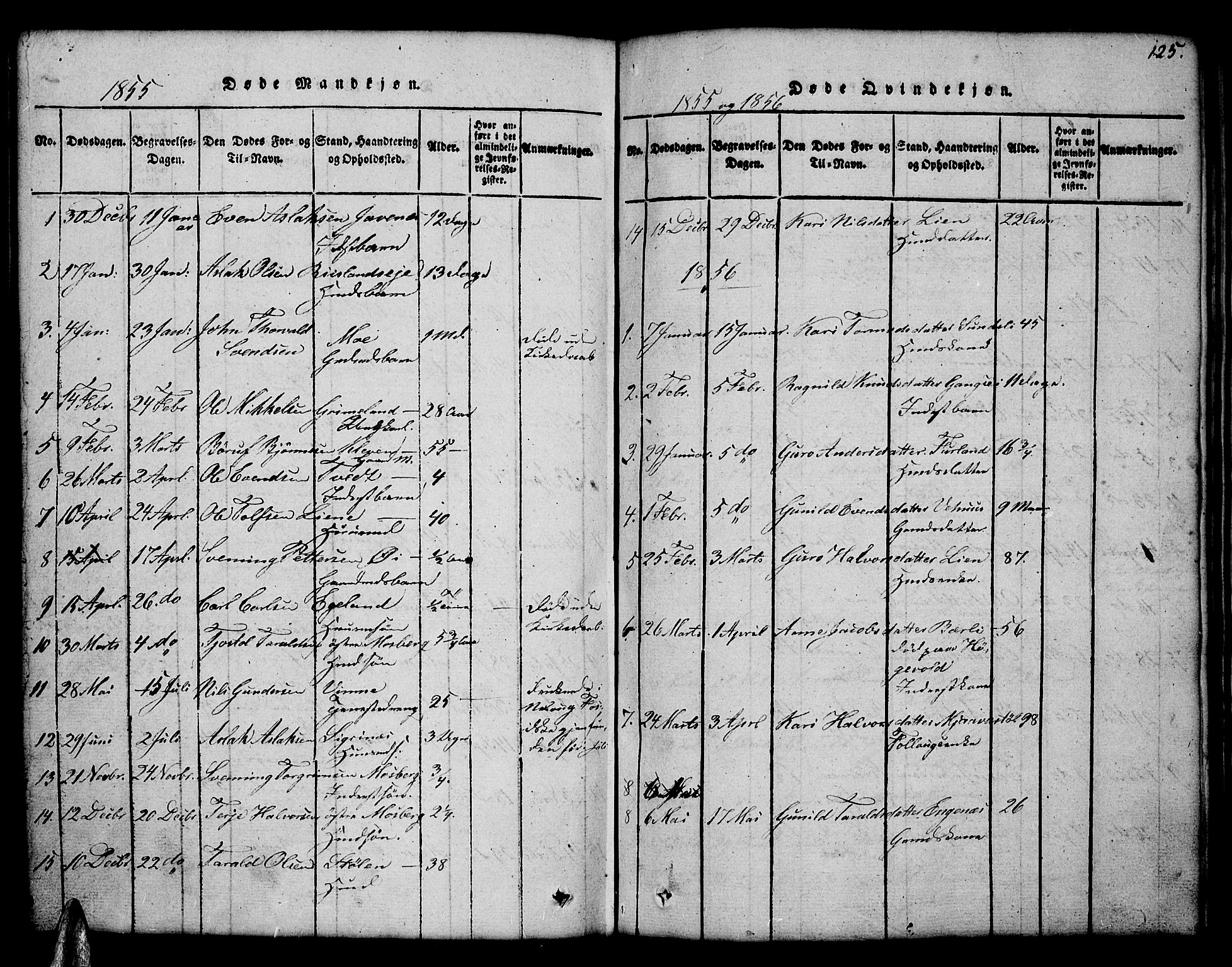 Åmli sokneprestkontor, AV/SAK-1111-0050/F/Fb/Fbc/L0001: Parish register (copy) no. B 1, 1816-1867, p. 125