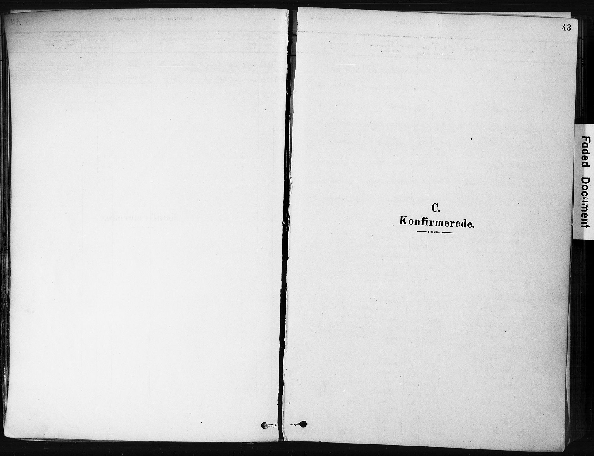 Botne kirkebøker, SAKO/A-340/F/Fb/L0001: Parish register (official) no. II 1, 1878-1902, p. 43