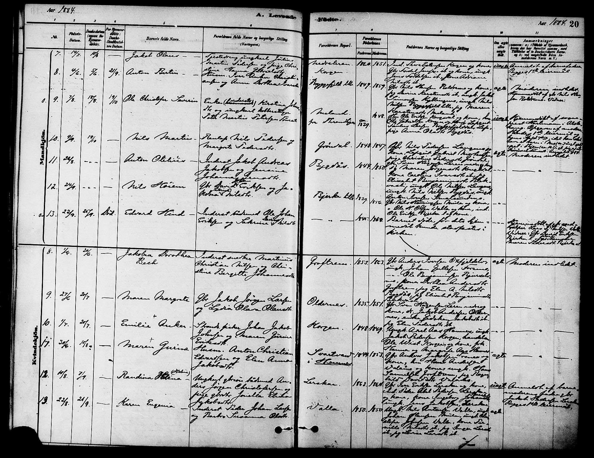 Ministerialprotokoller, klokkerbøker og fødselsregistre - Nordland, AV/SAT-A-1459/826/L0379: Parish register (official) no. 826A02, 1878-1895, p. 20