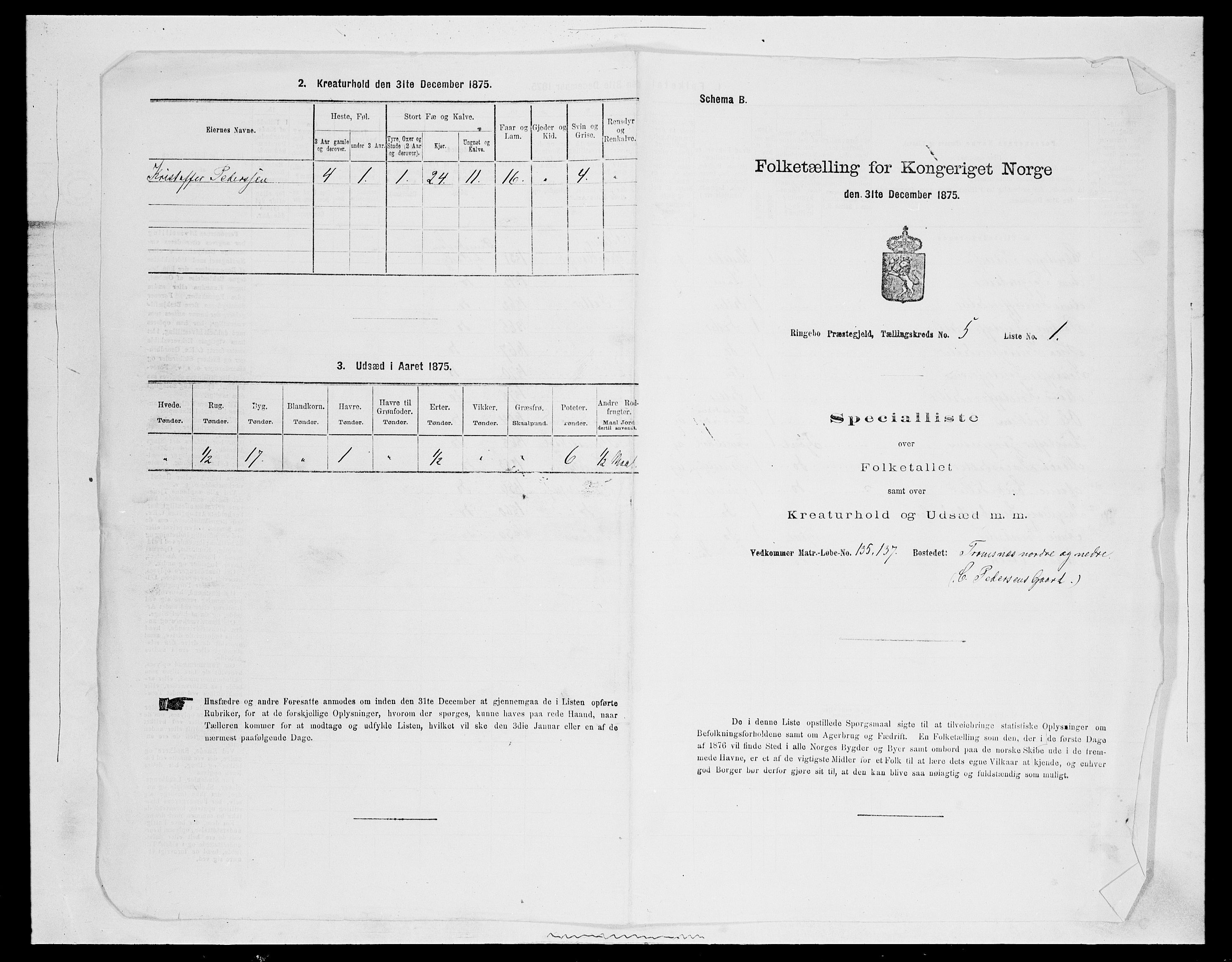 SAH, 1875 census for 0520P Ringebu, 1875, p. 674