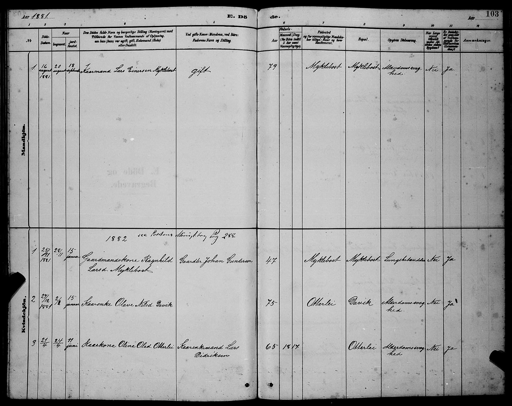 Ministerialprotokoller, klokkerbøker og fødselsregistre - Møre og Romsdal, AV/SAT-A-1454/538/L0523: Parish register (copy) no. 538C01, 1881-1900, p. 103