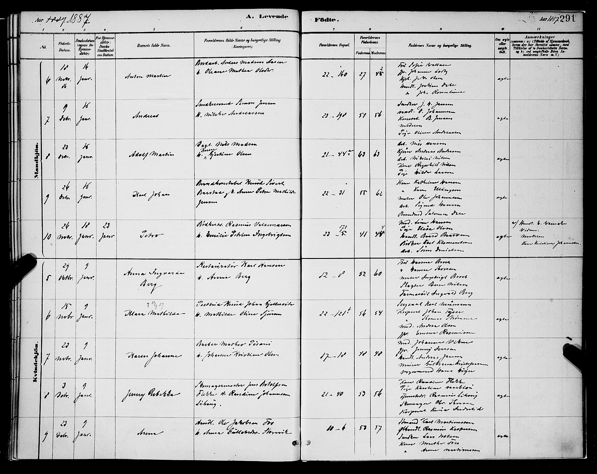 Korskirken sokneprestembete, AV/SAB-A-76101/H/Hab: Parish register (copy) no. B 8, 1878-1887, p. 291