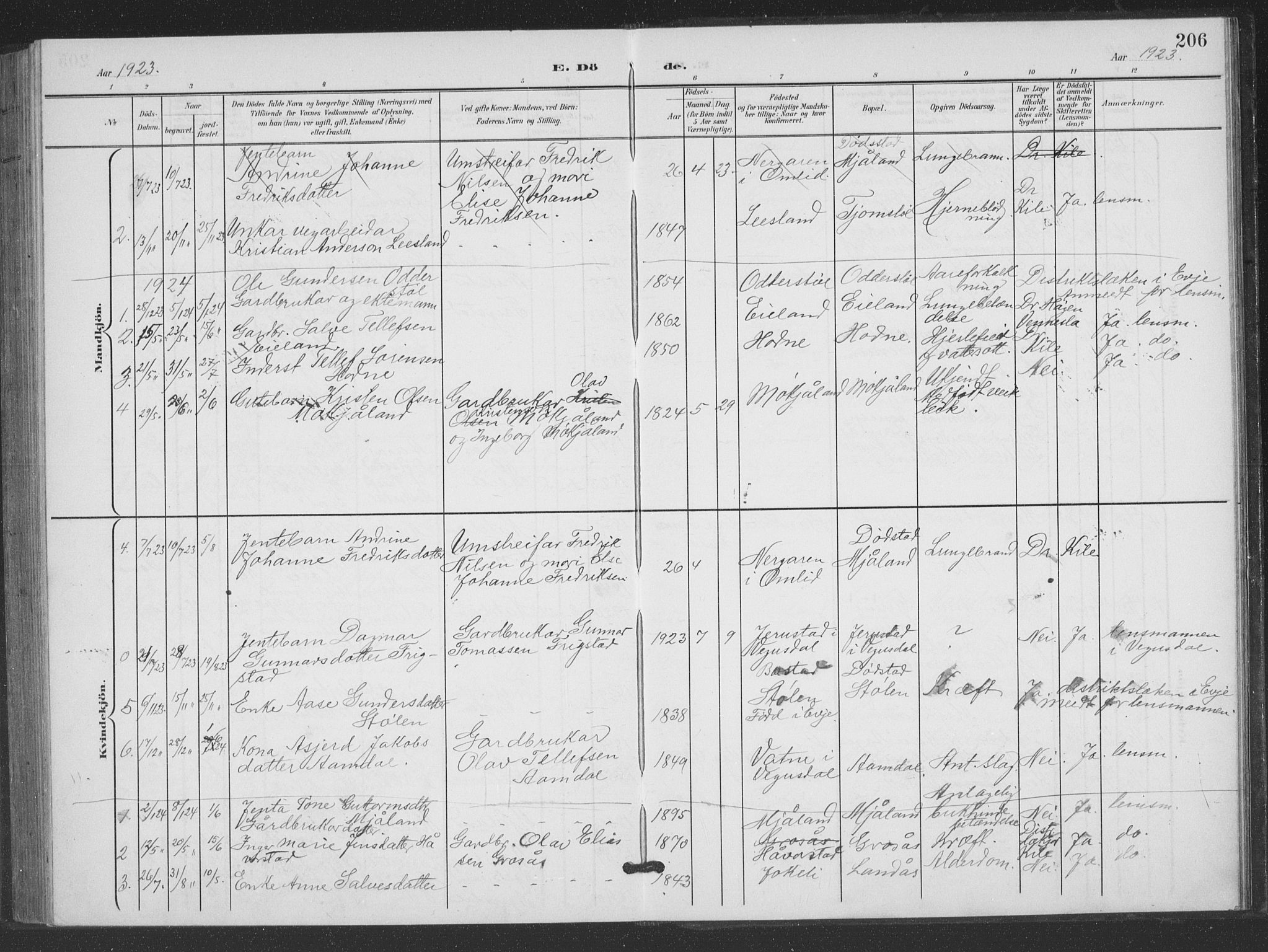 Evje sokneprestkontor, AV/SAK-1111-0008/F/Fb/Fbc/L0005: Parish register (copy) no. B 5, 1901-1935, p. 206