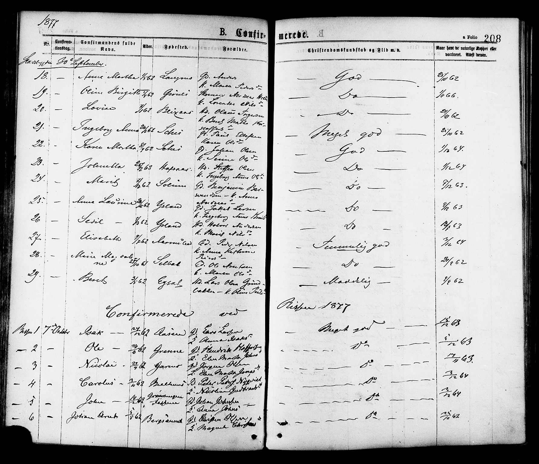 Ministerialprotokoller, klokkerbøker og fødselsregistre - Sør-Trøndelag, AV/SAT-A-1456/646/L0613: Parish register (official) no. 646A11, 1870-1884, p. 208