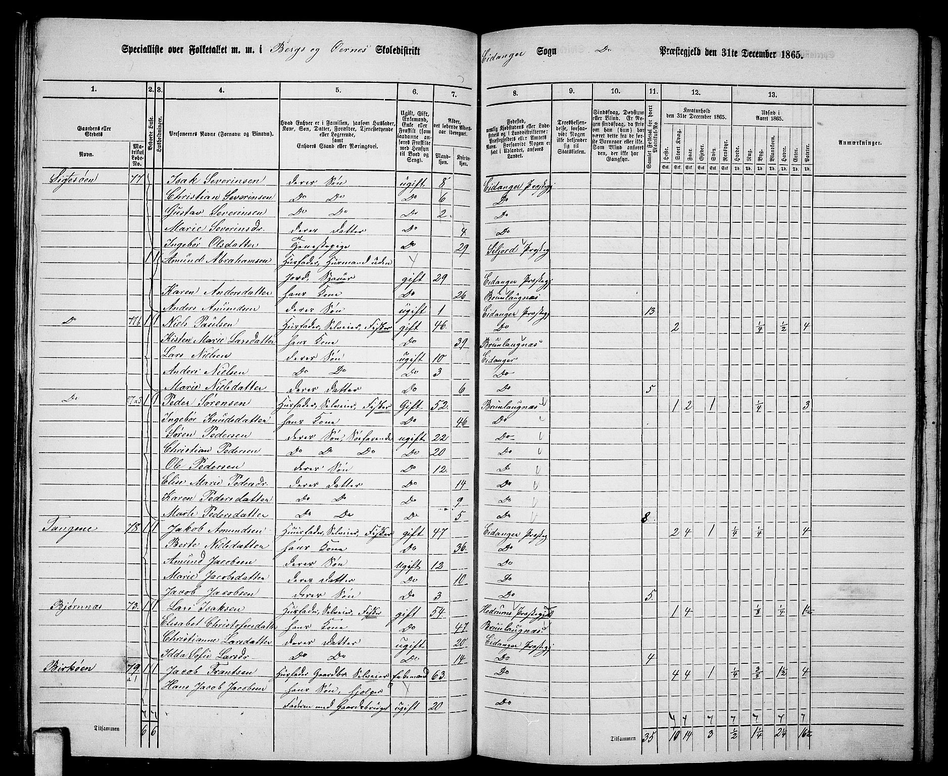 RA, 1865 census for Eidanger, 1865, p. 46