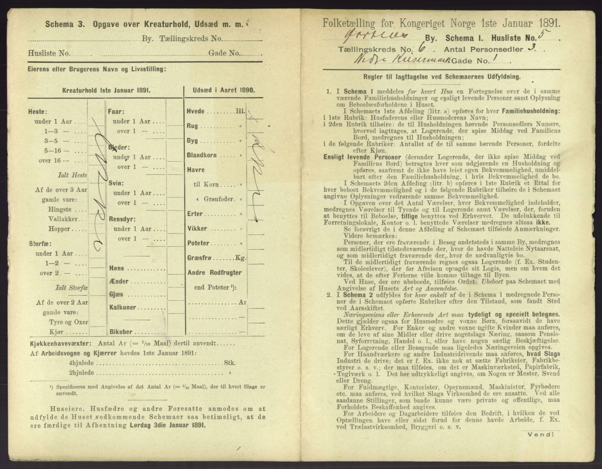 RA, 1891 census for 0703 Horten, 1891, p. 555