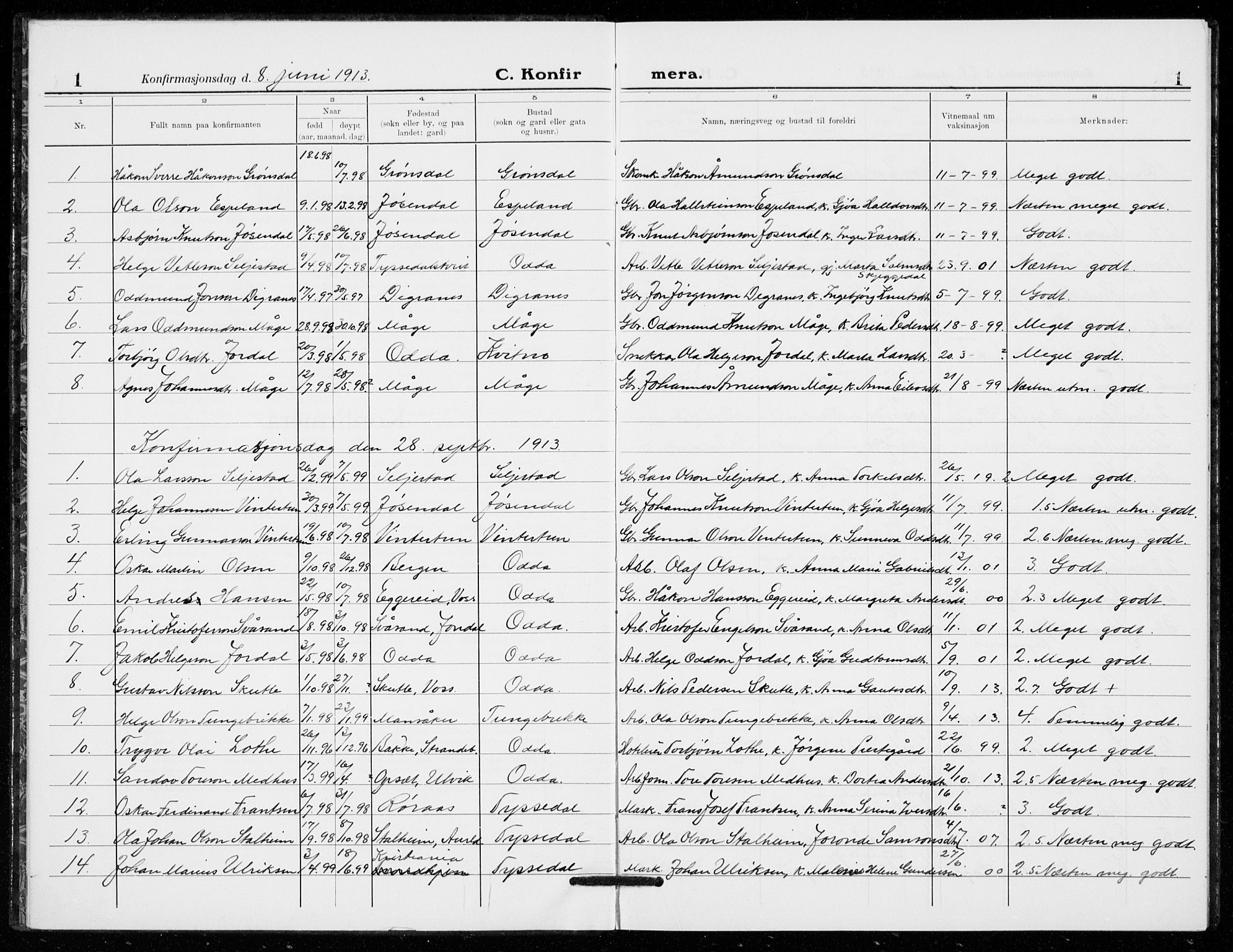Odda Sokneprestembete, AV/SAB-A-77201/H/Hab: Parish register (copy) no. C  1, 1913-1934, p. 1