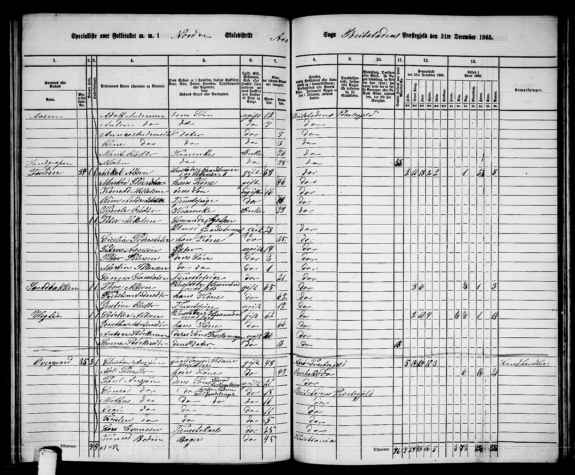 RA, 1865 census for Beitstad, 1865, p. 163