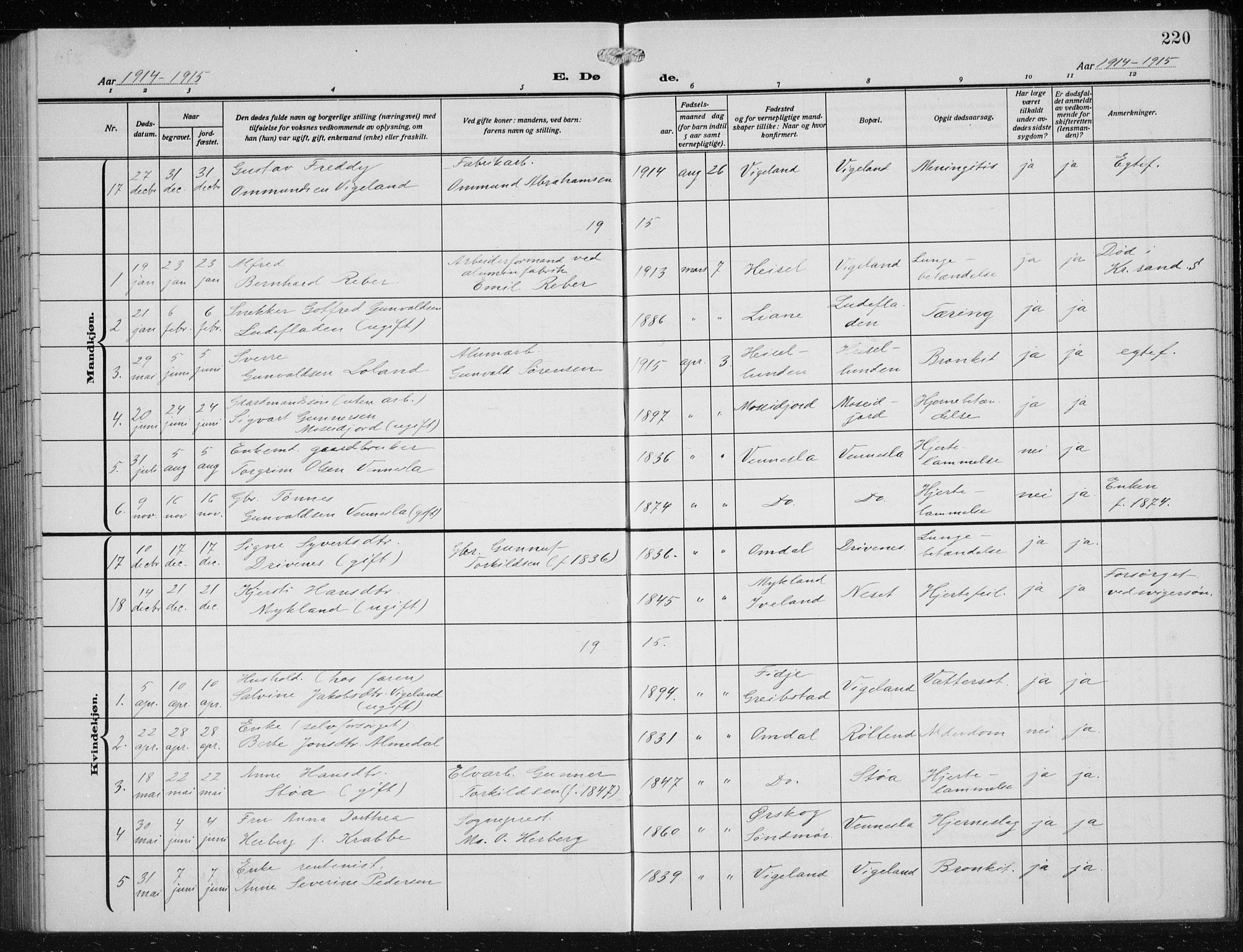 Vennesla sokneprestkontor, AV/SAK-1111-0045/Fb/Fbb/L0006: Parish register (copy) no. B 6, 1914-1921, p. 220